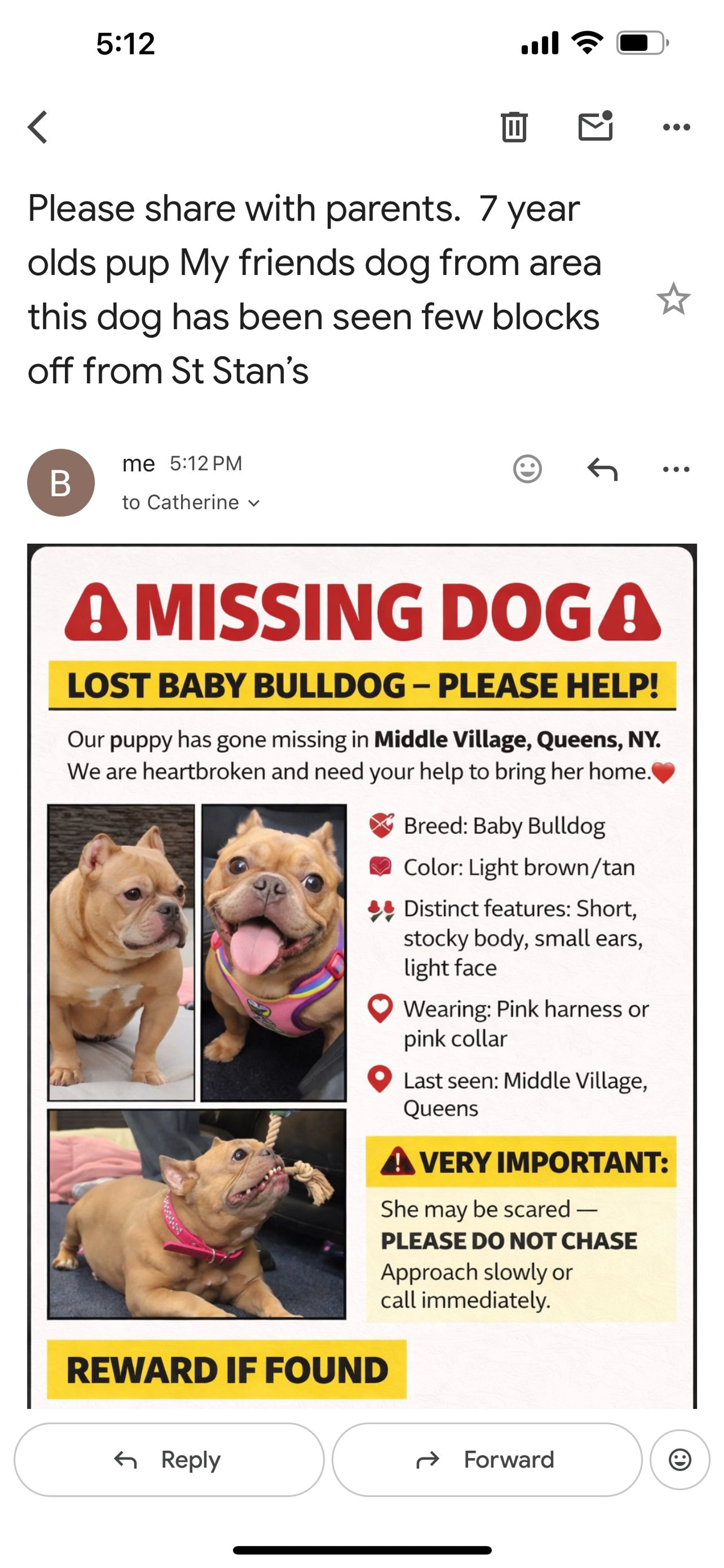 Lost pet