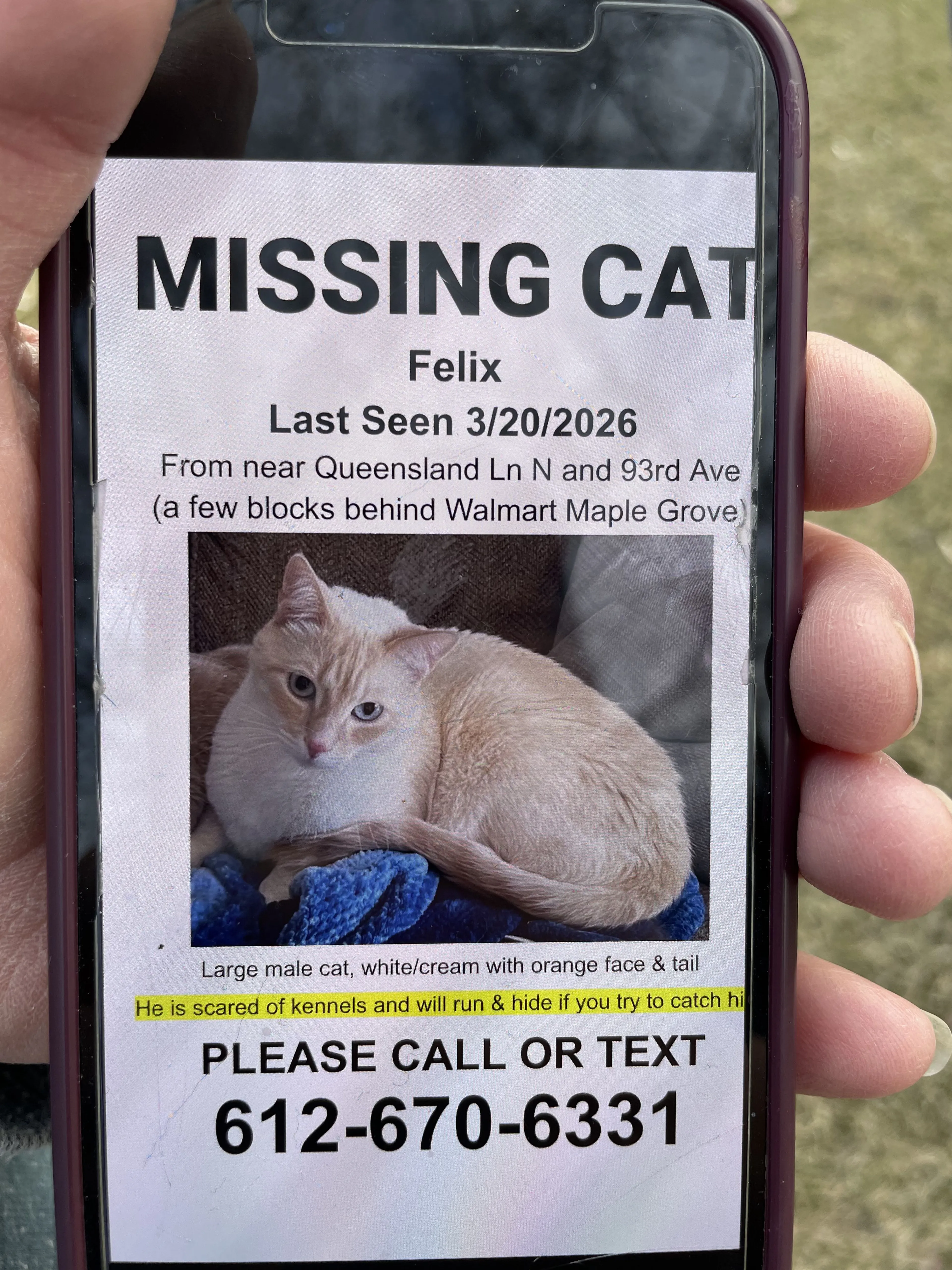 Lost pet