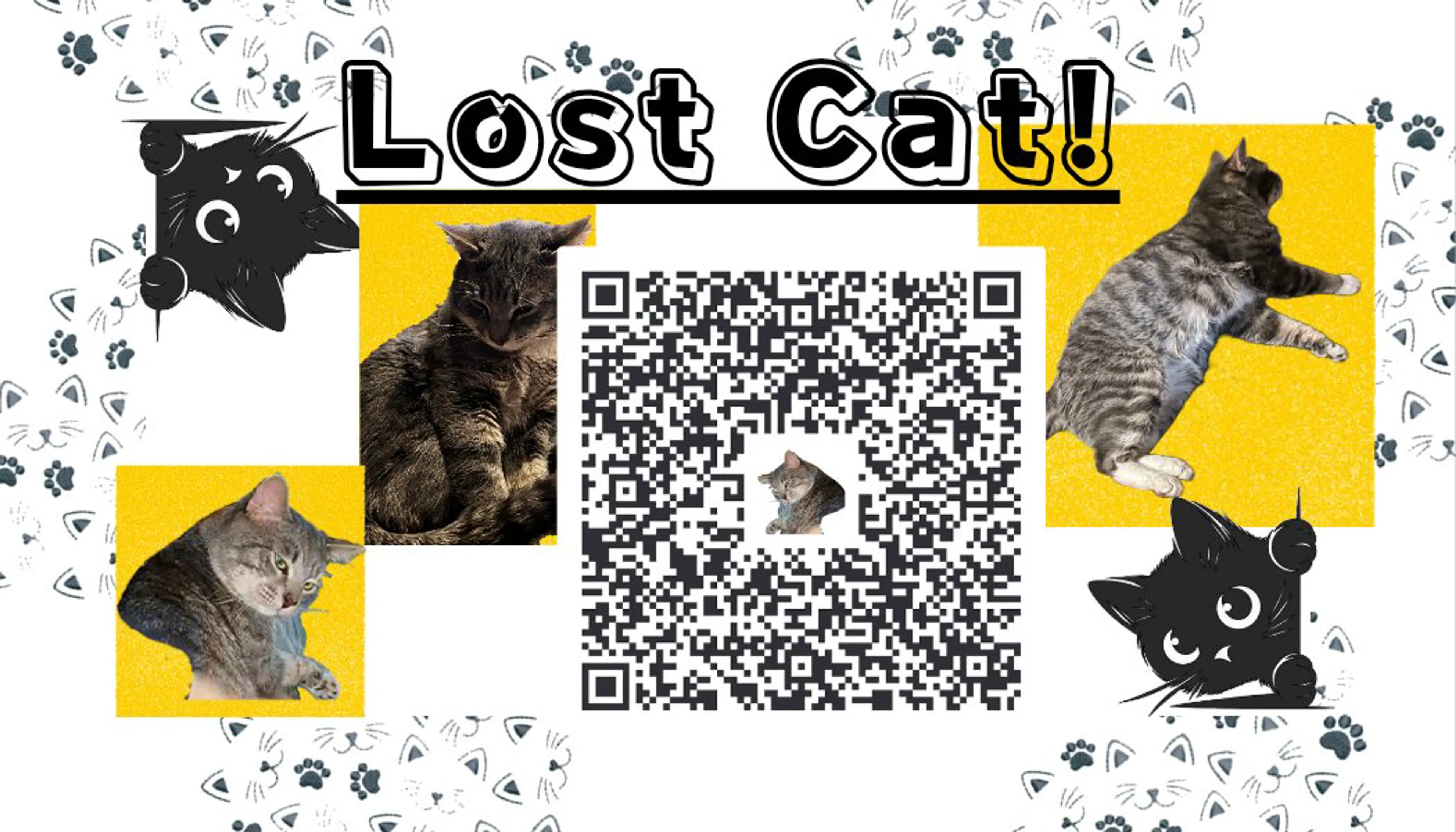 Lost pet-1