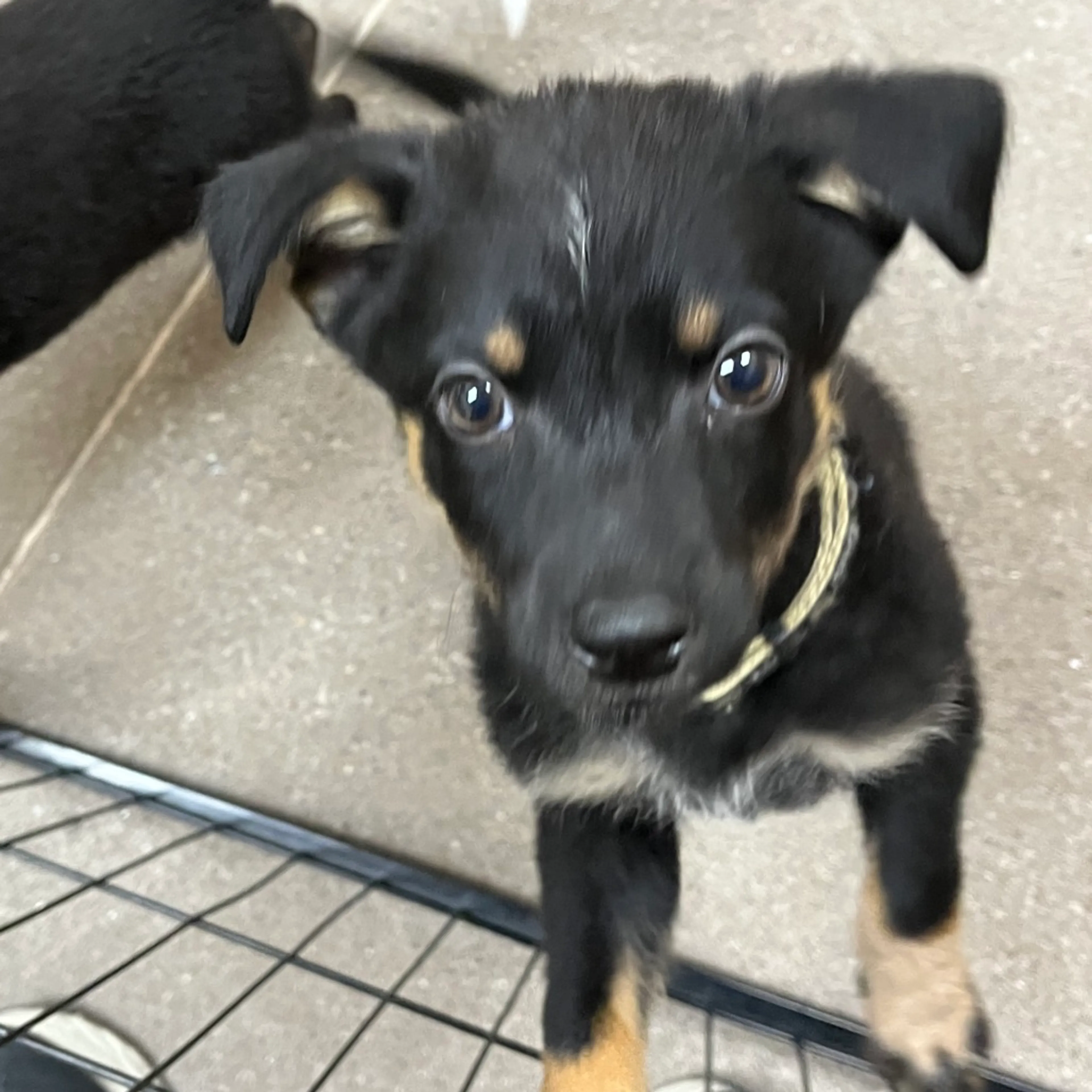 -0