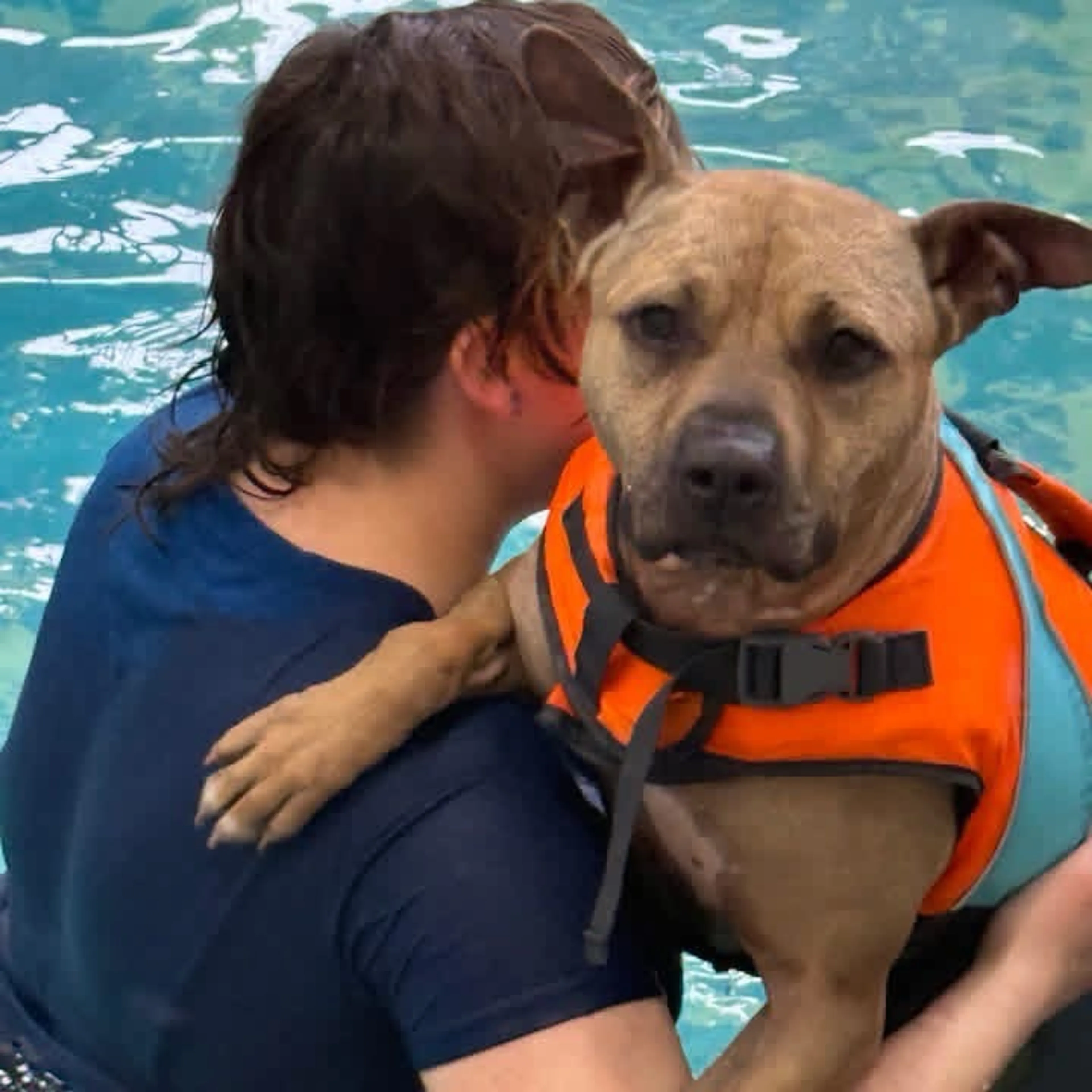 Found pet-28