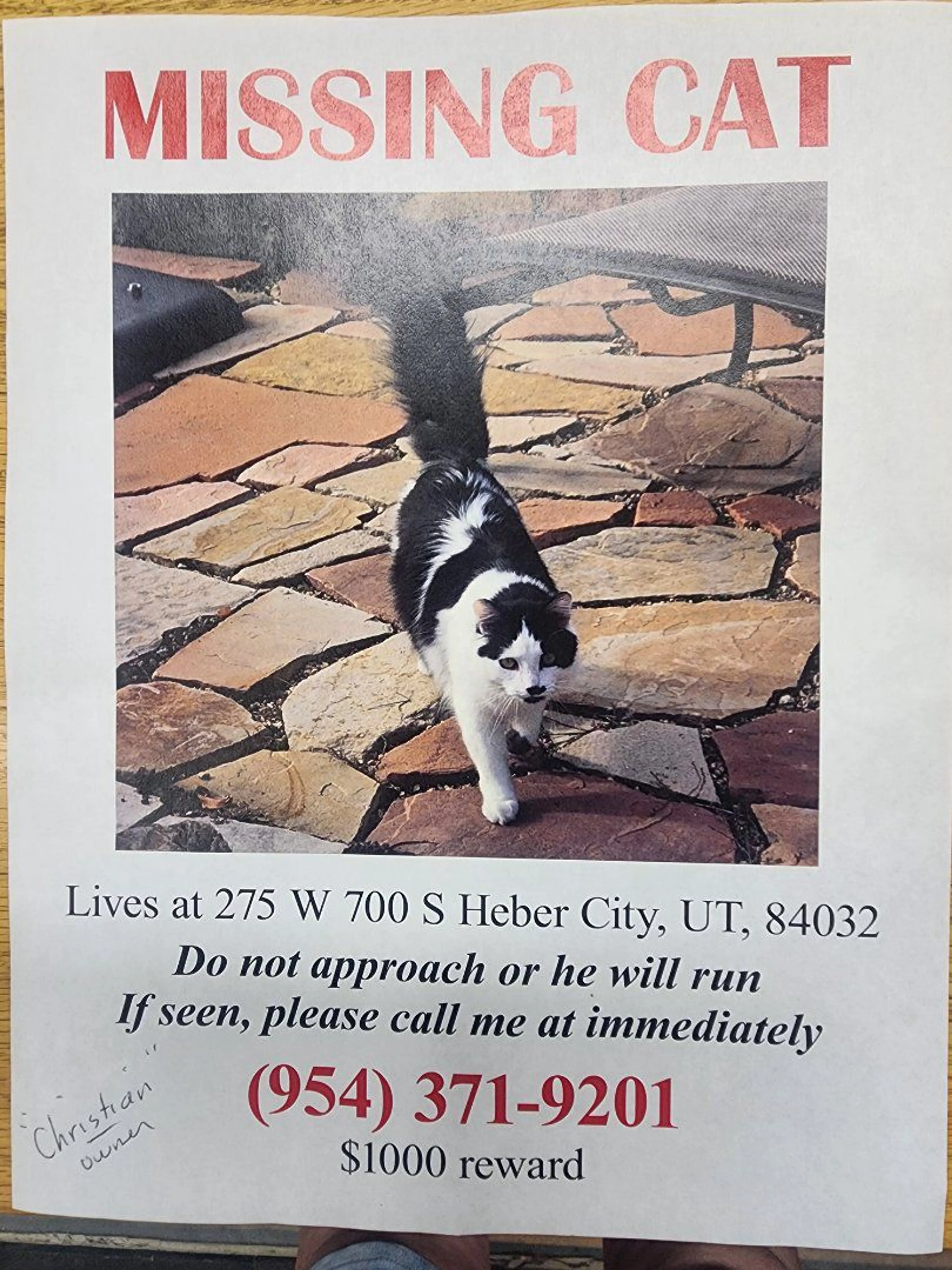 Lost pet