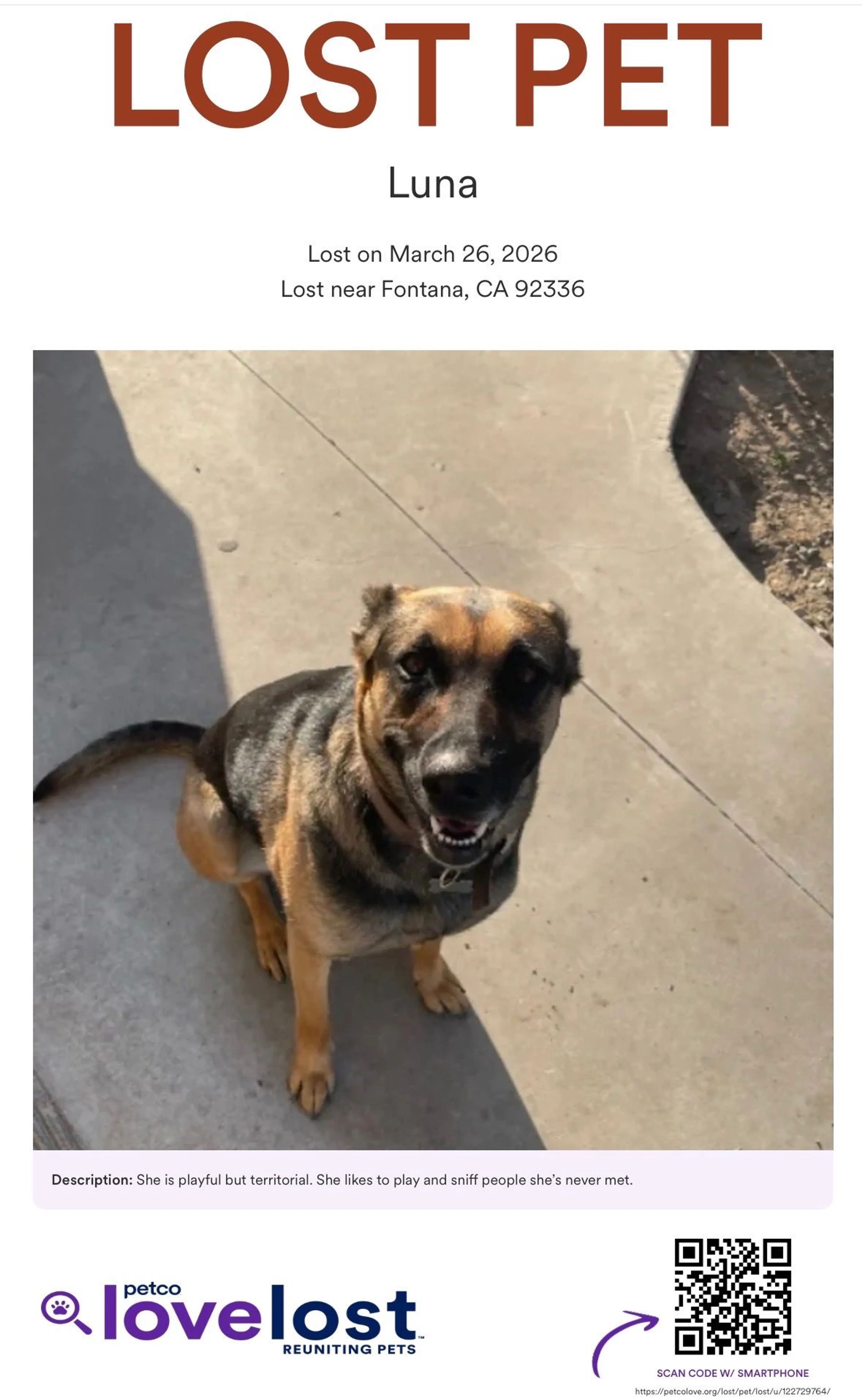 Lost pet