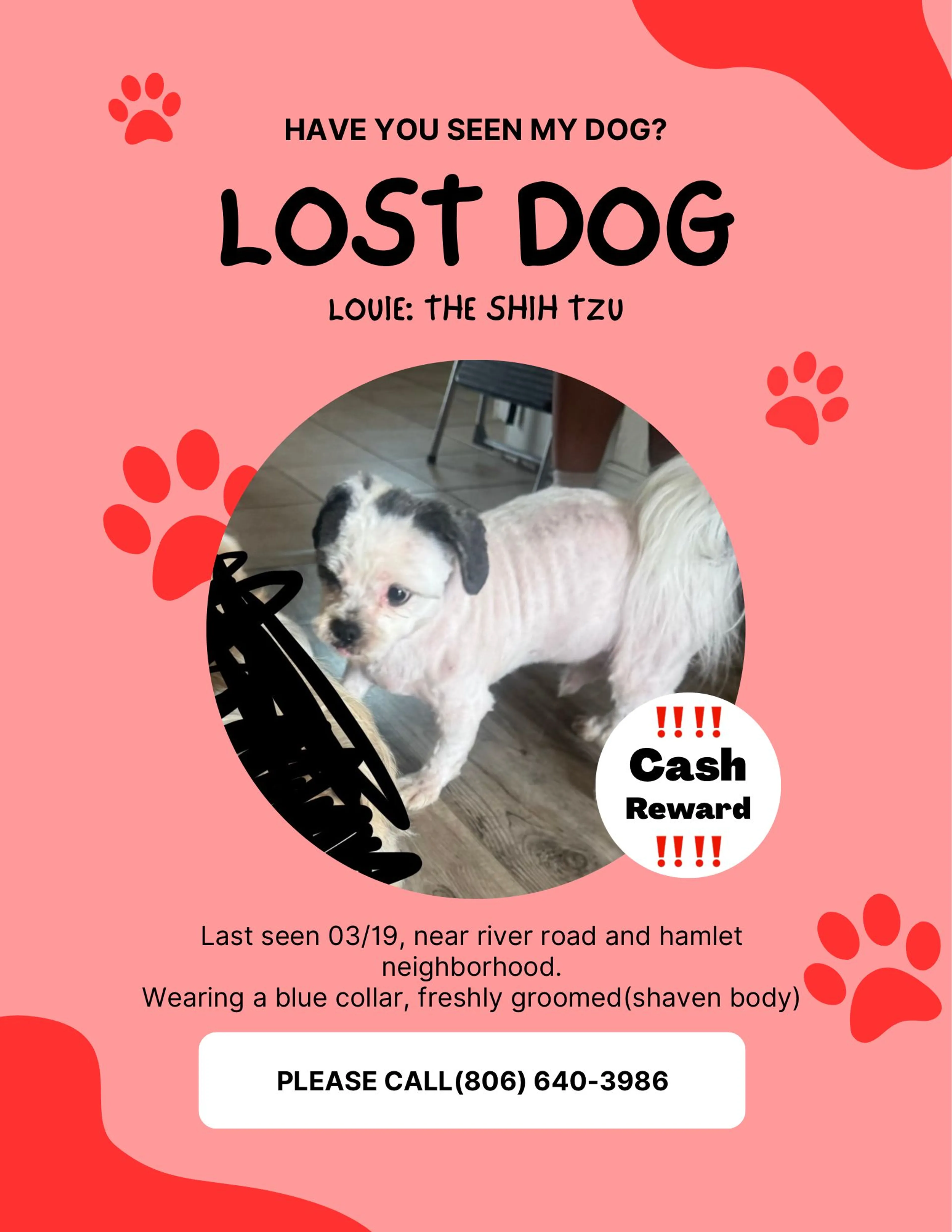 Lost pet