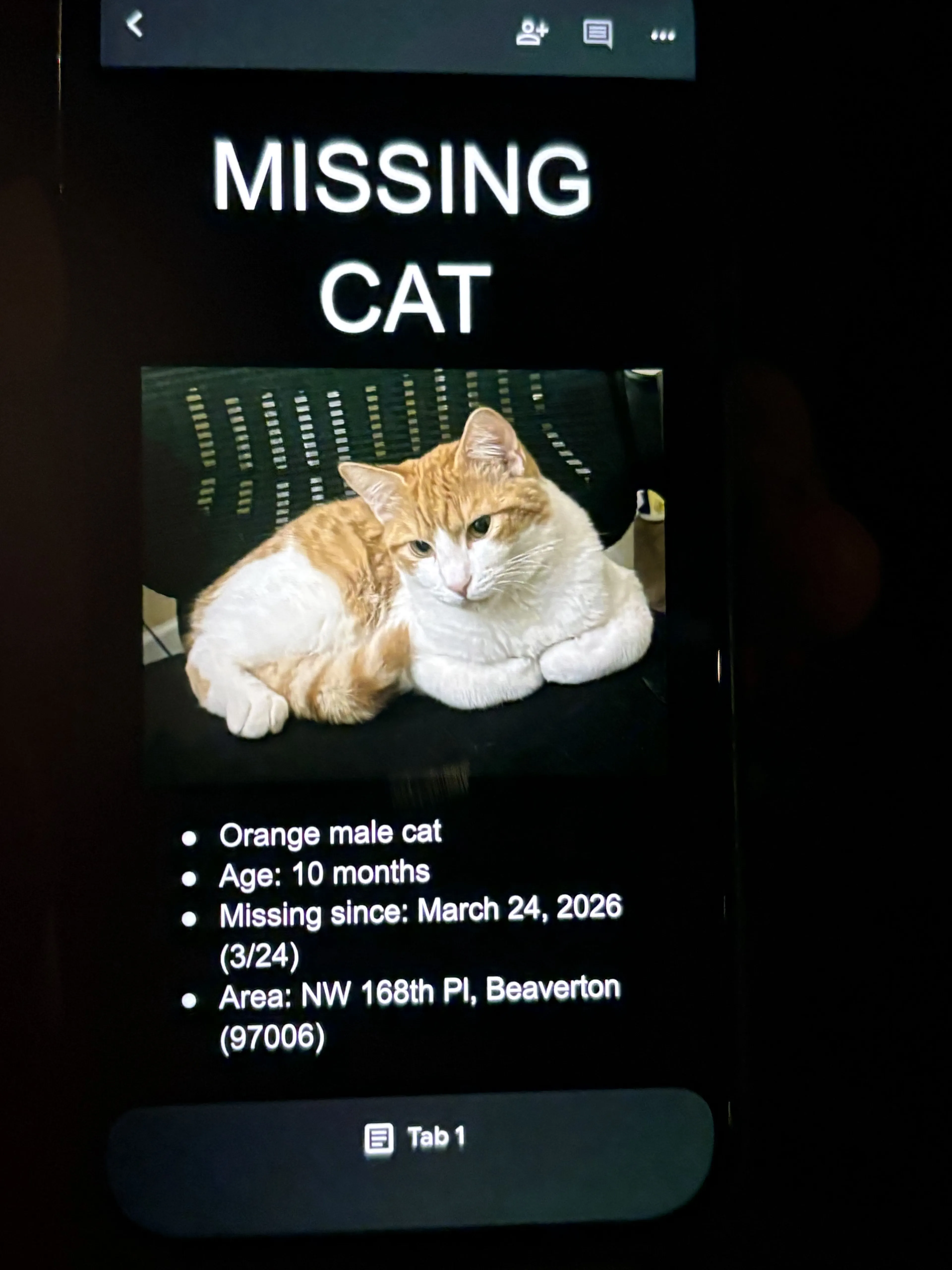Lost pet