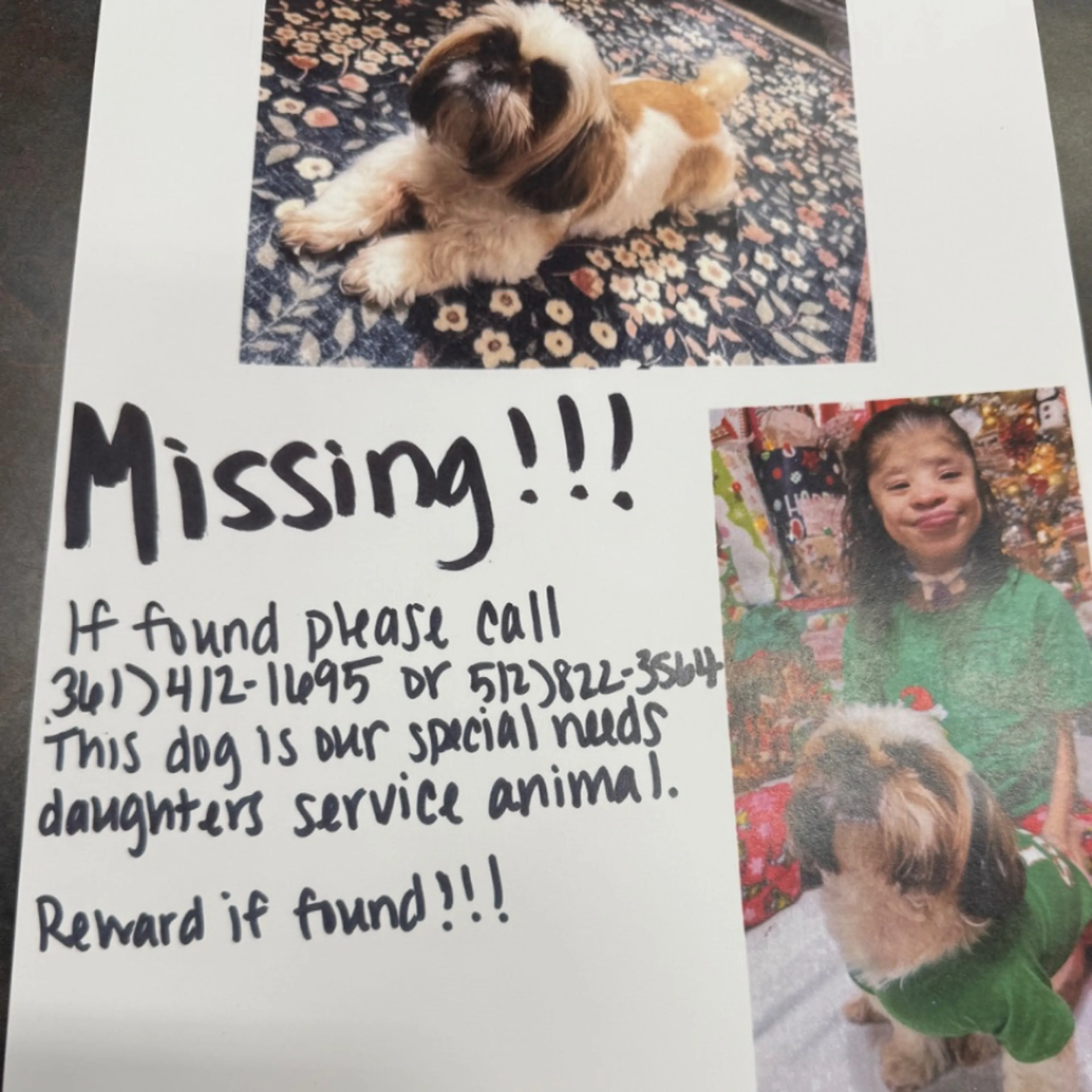Lost pet