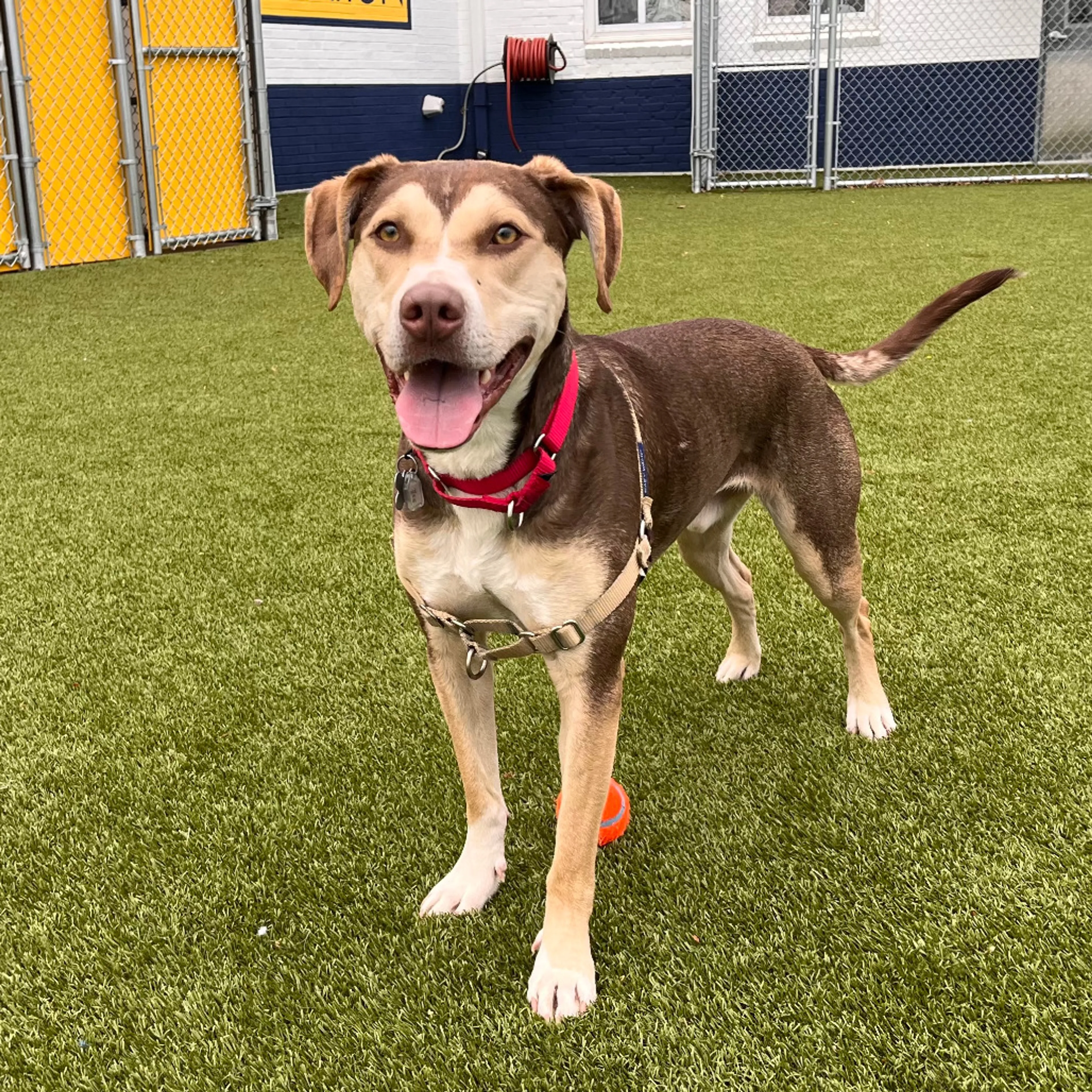 -19