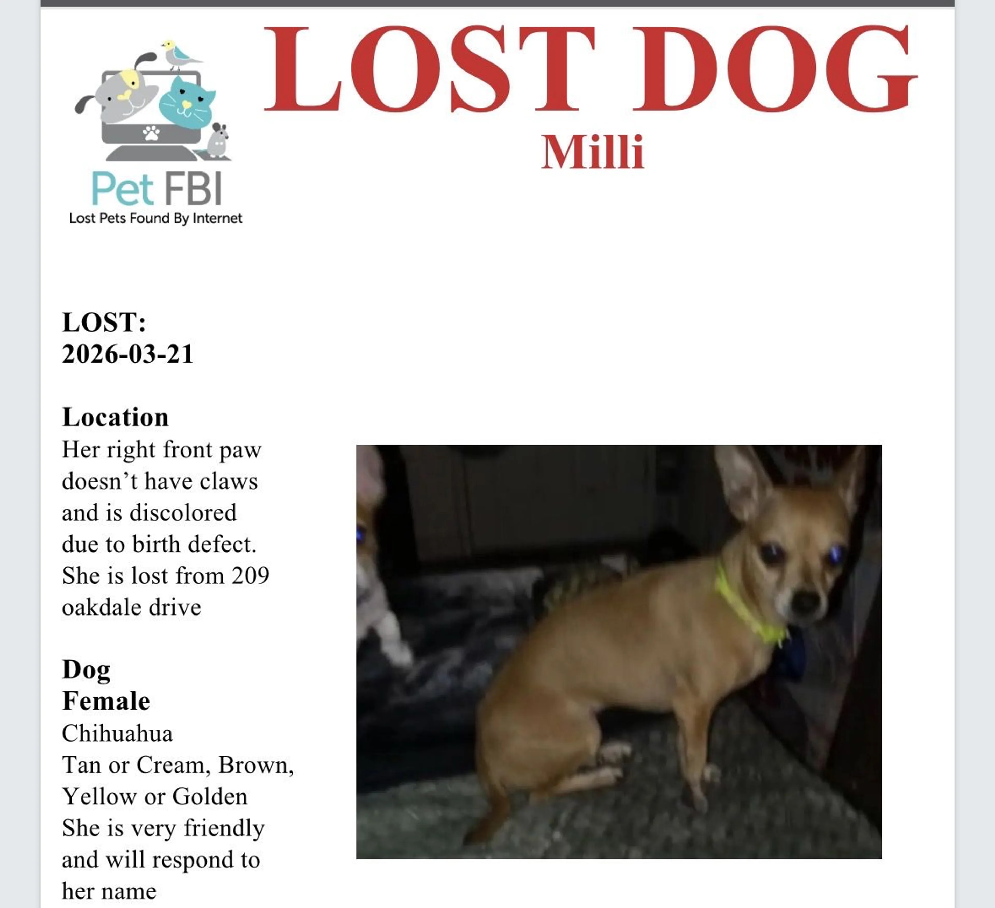 Lost pet