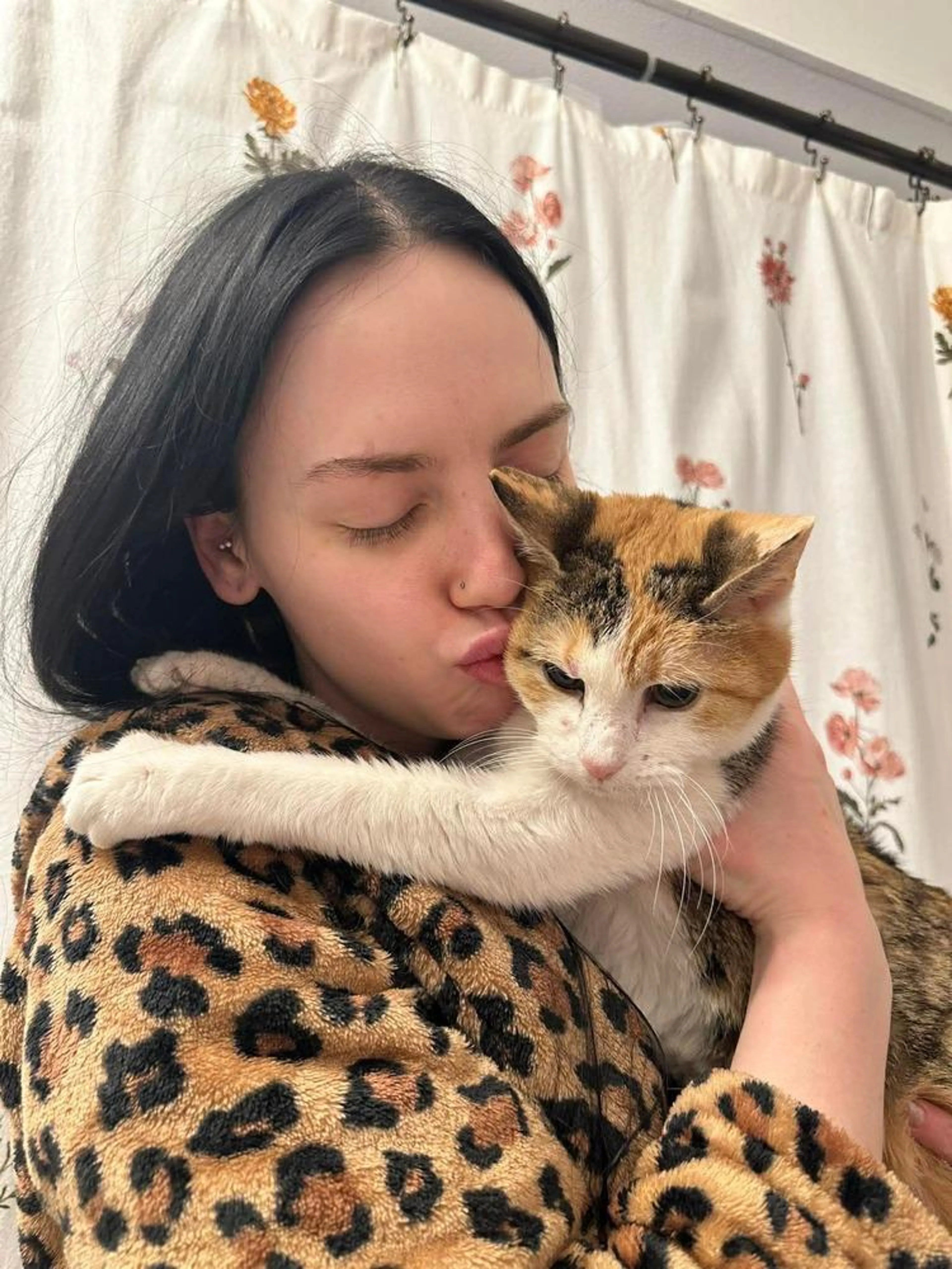 Found pet-3