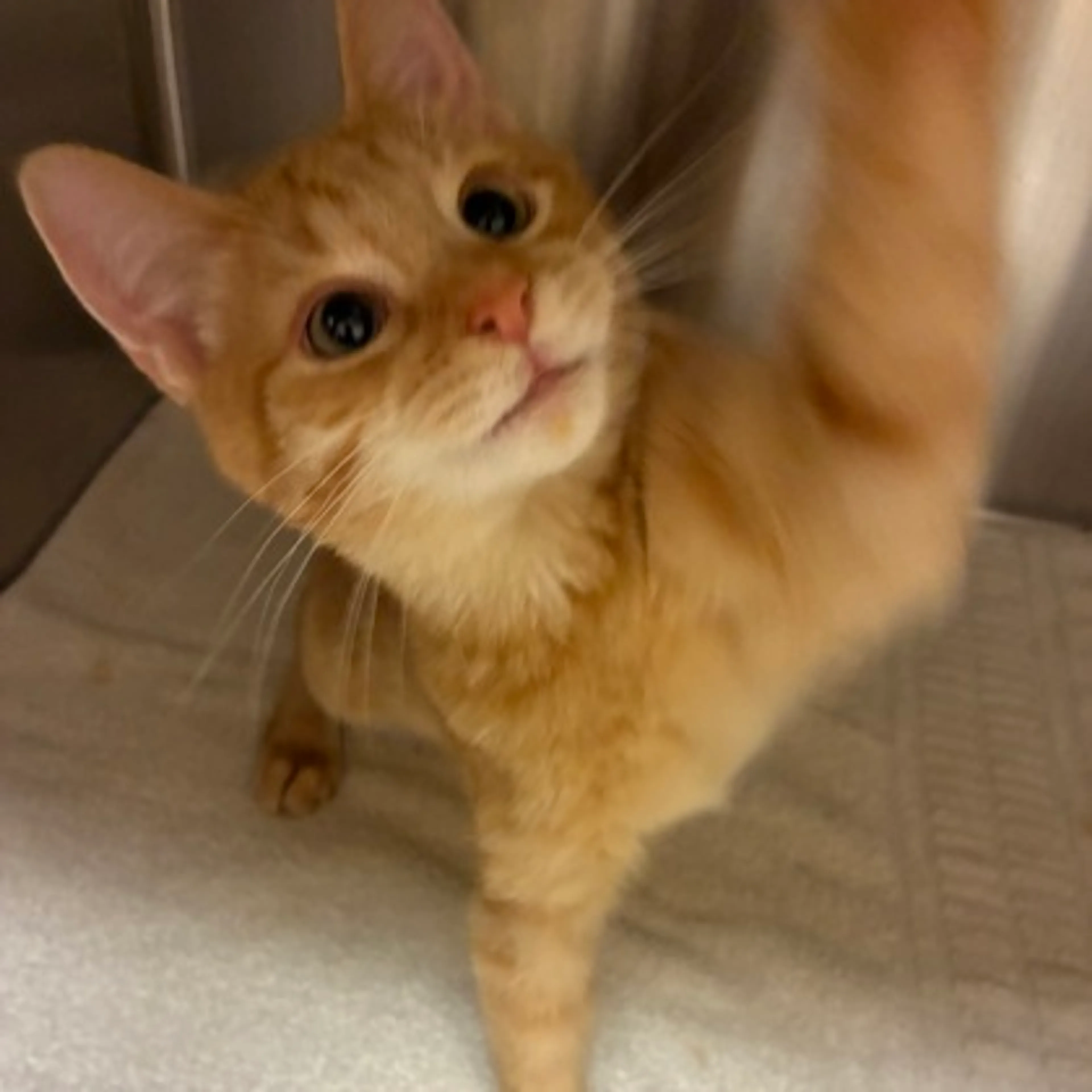 -0