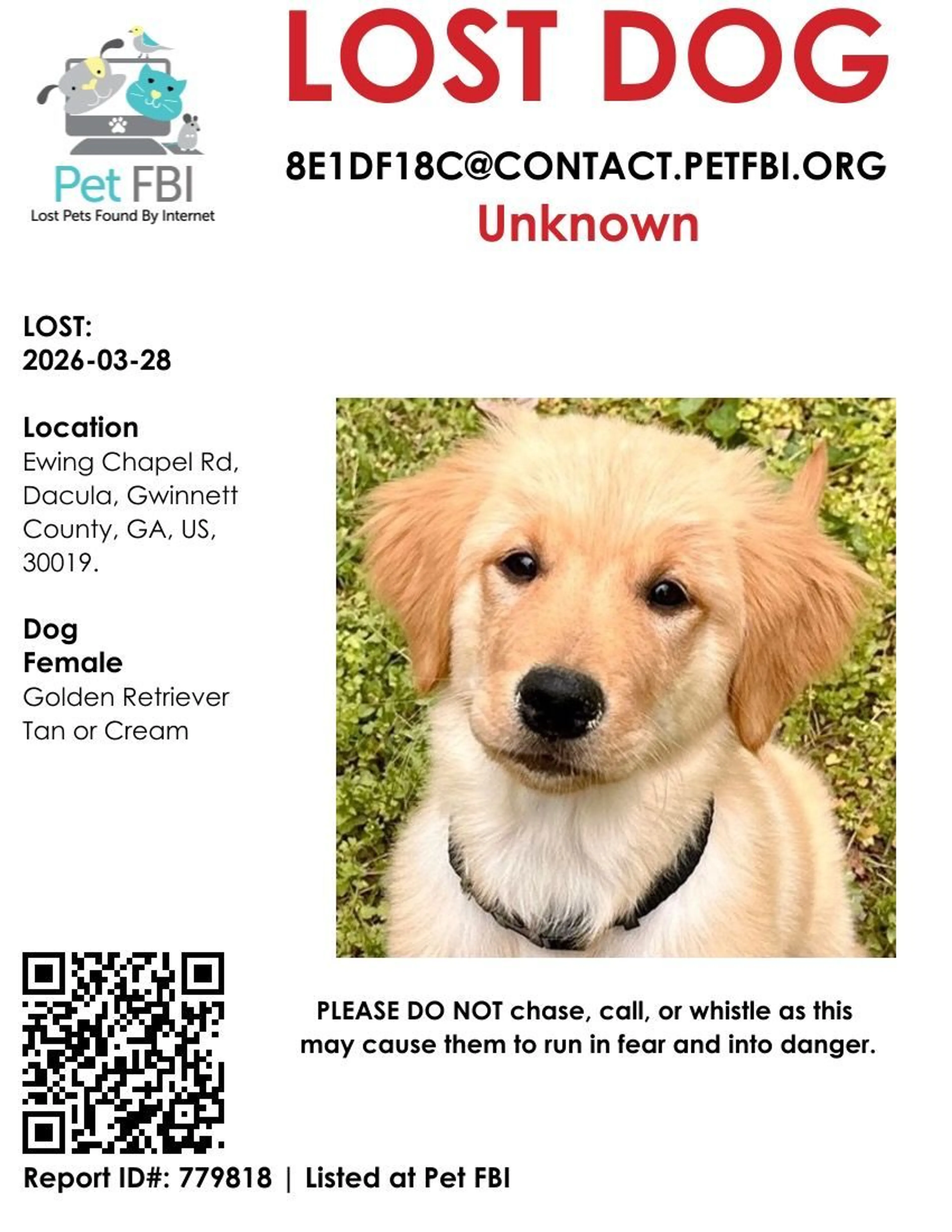 Lost pet