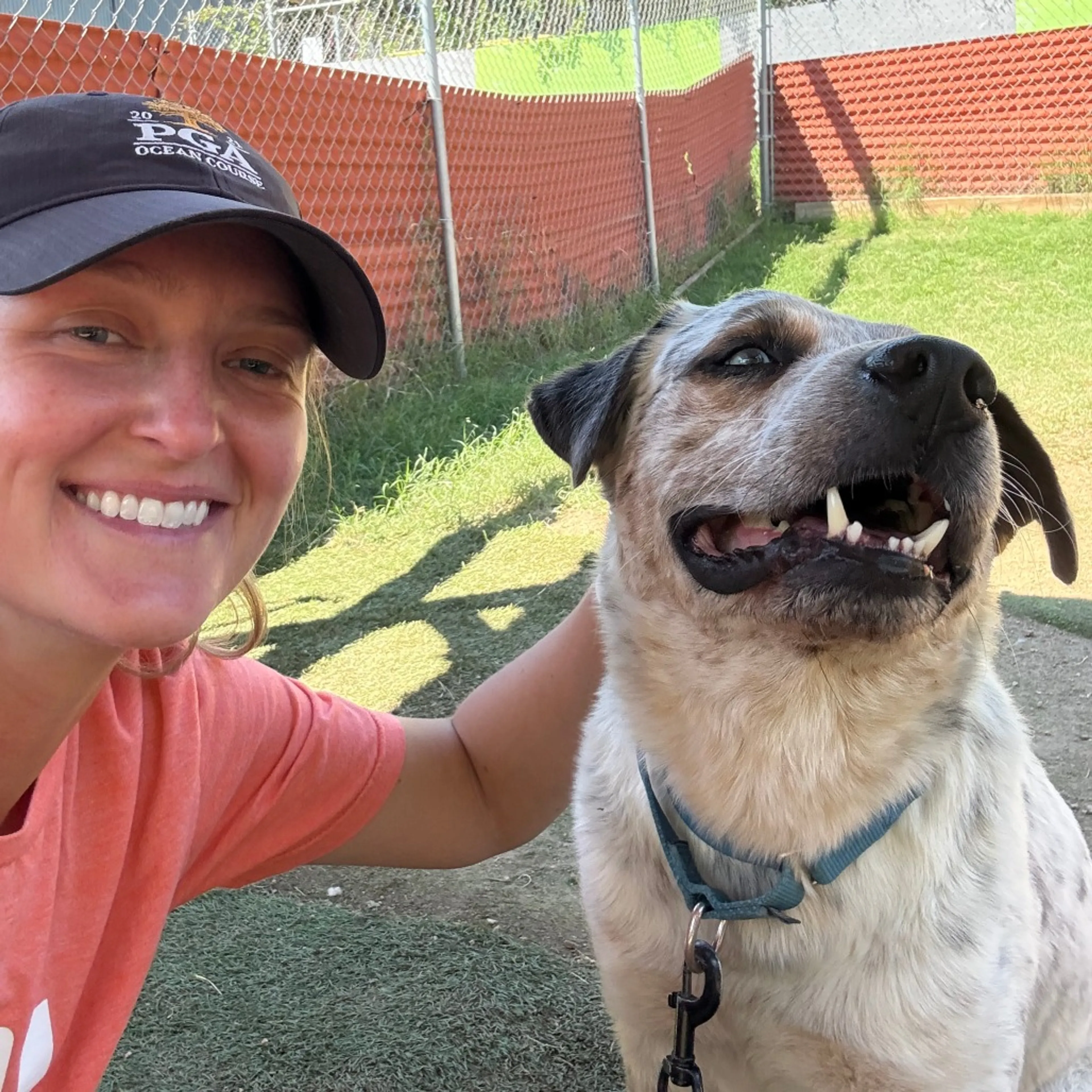 Found pet-14