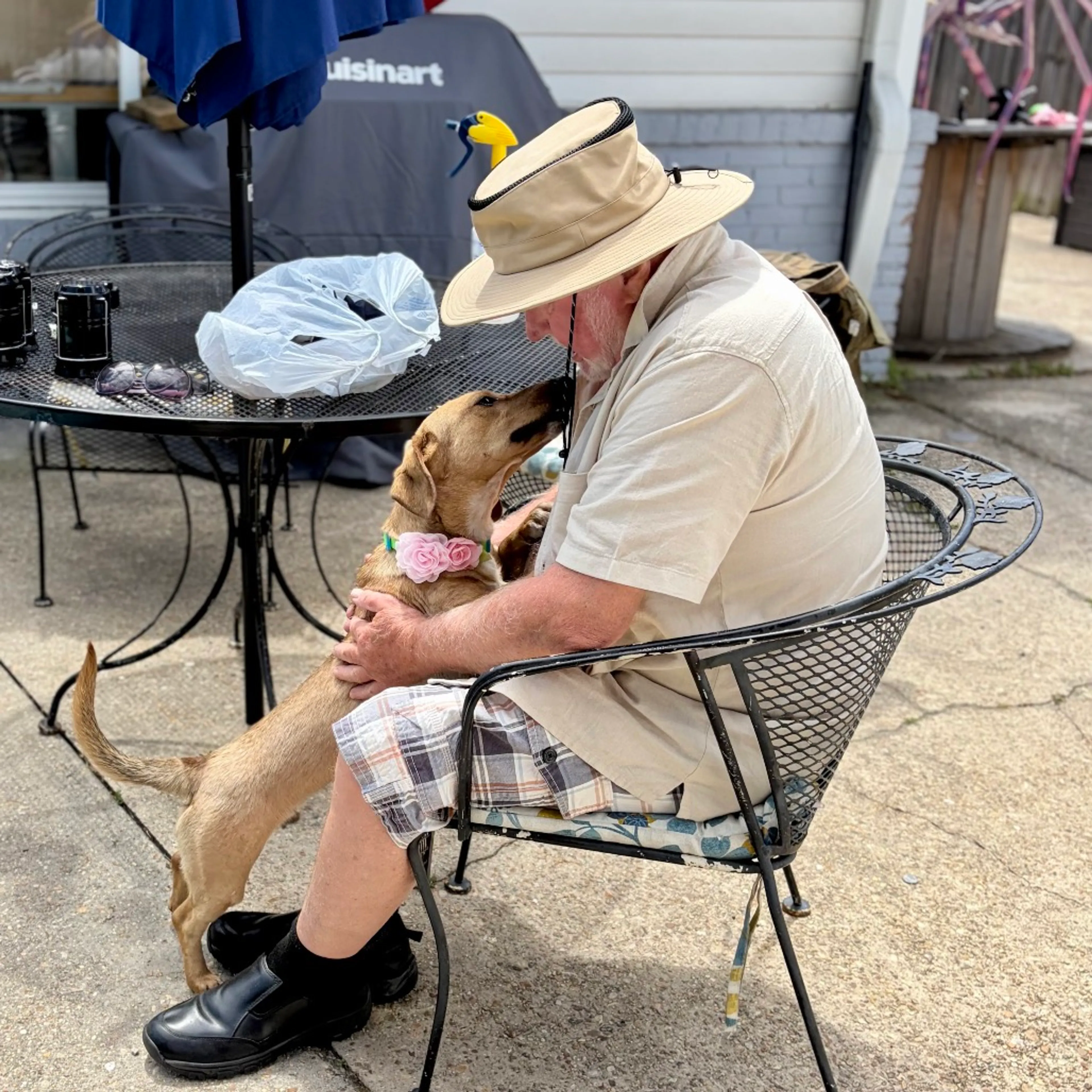 Found pet-5
