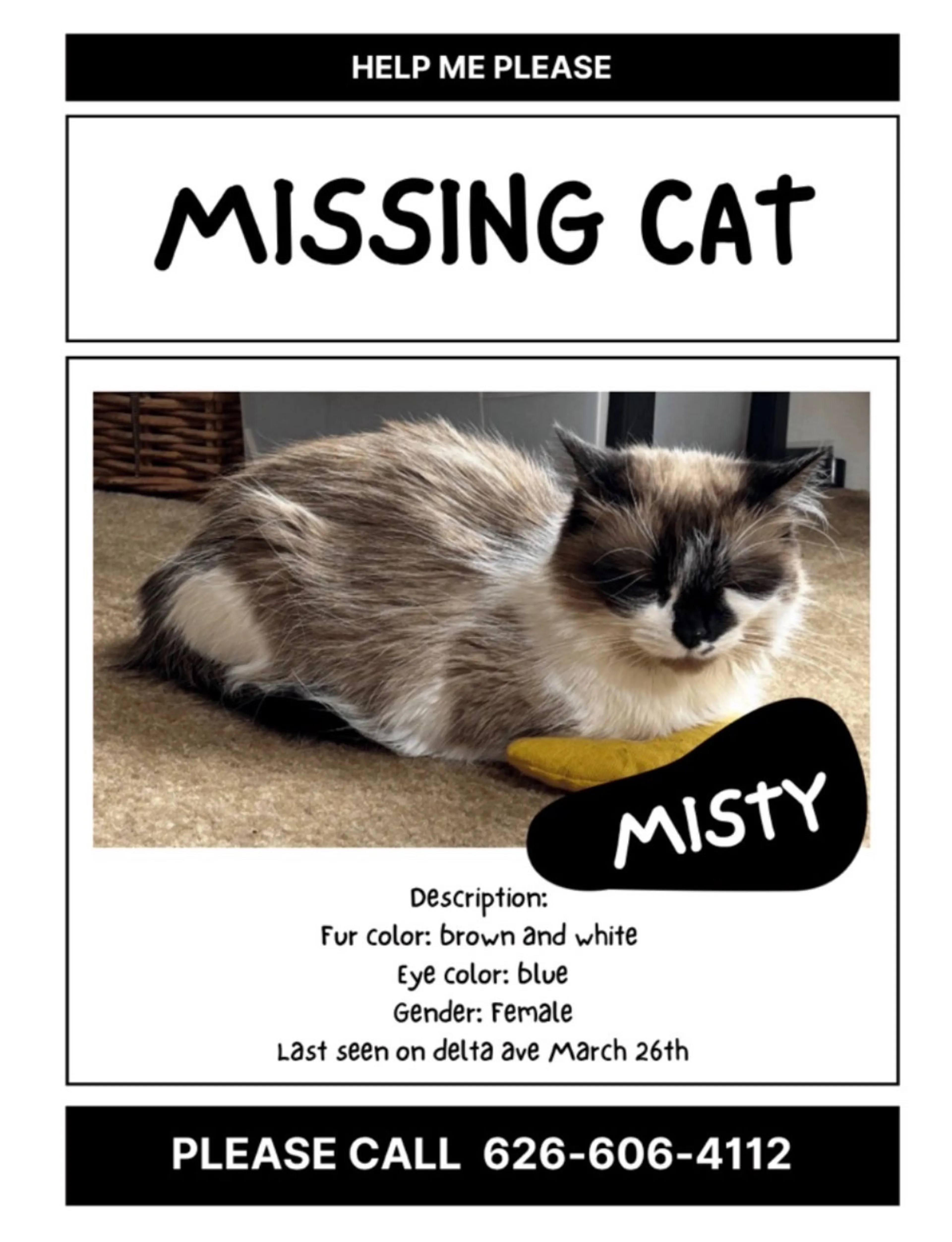 Lost pet