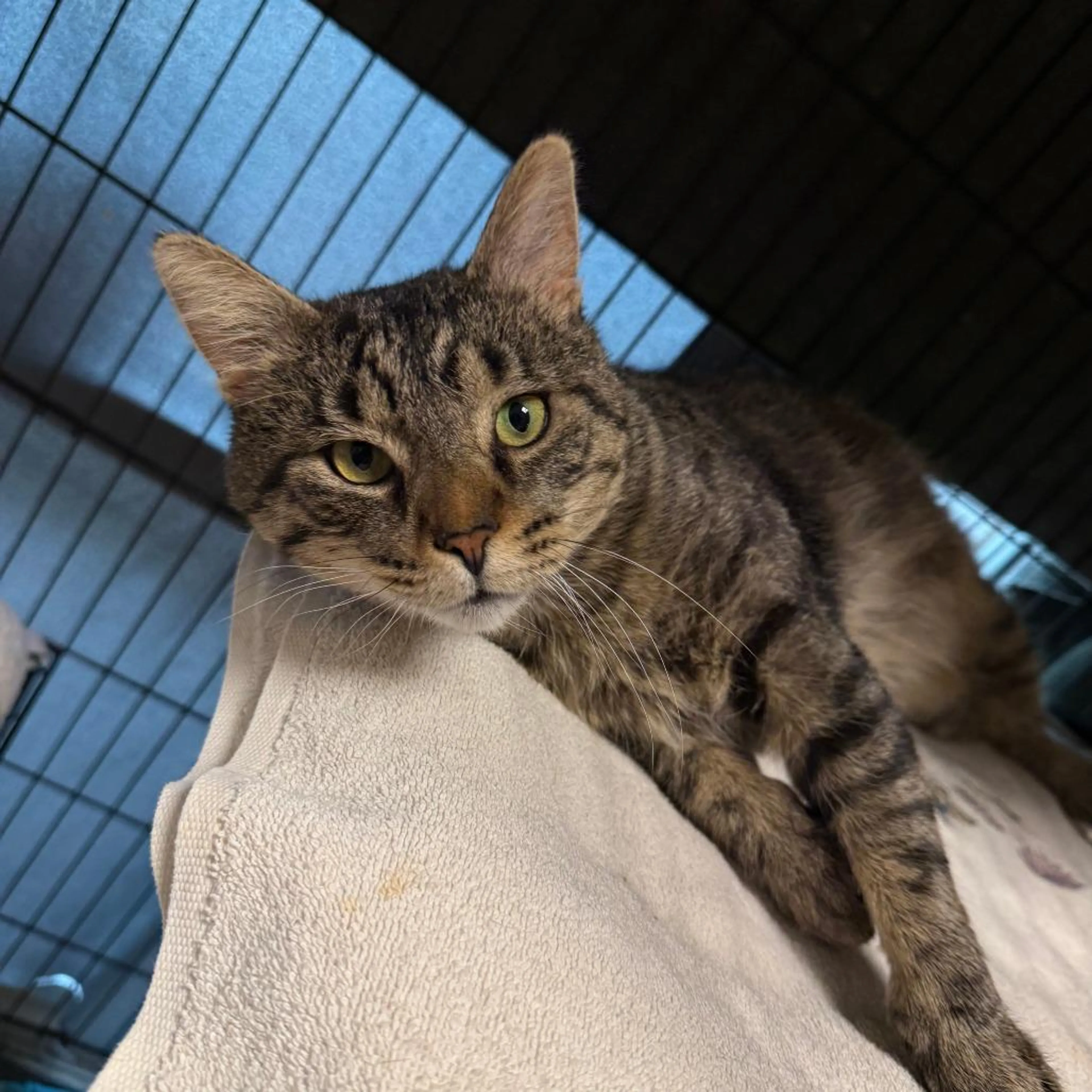 -0