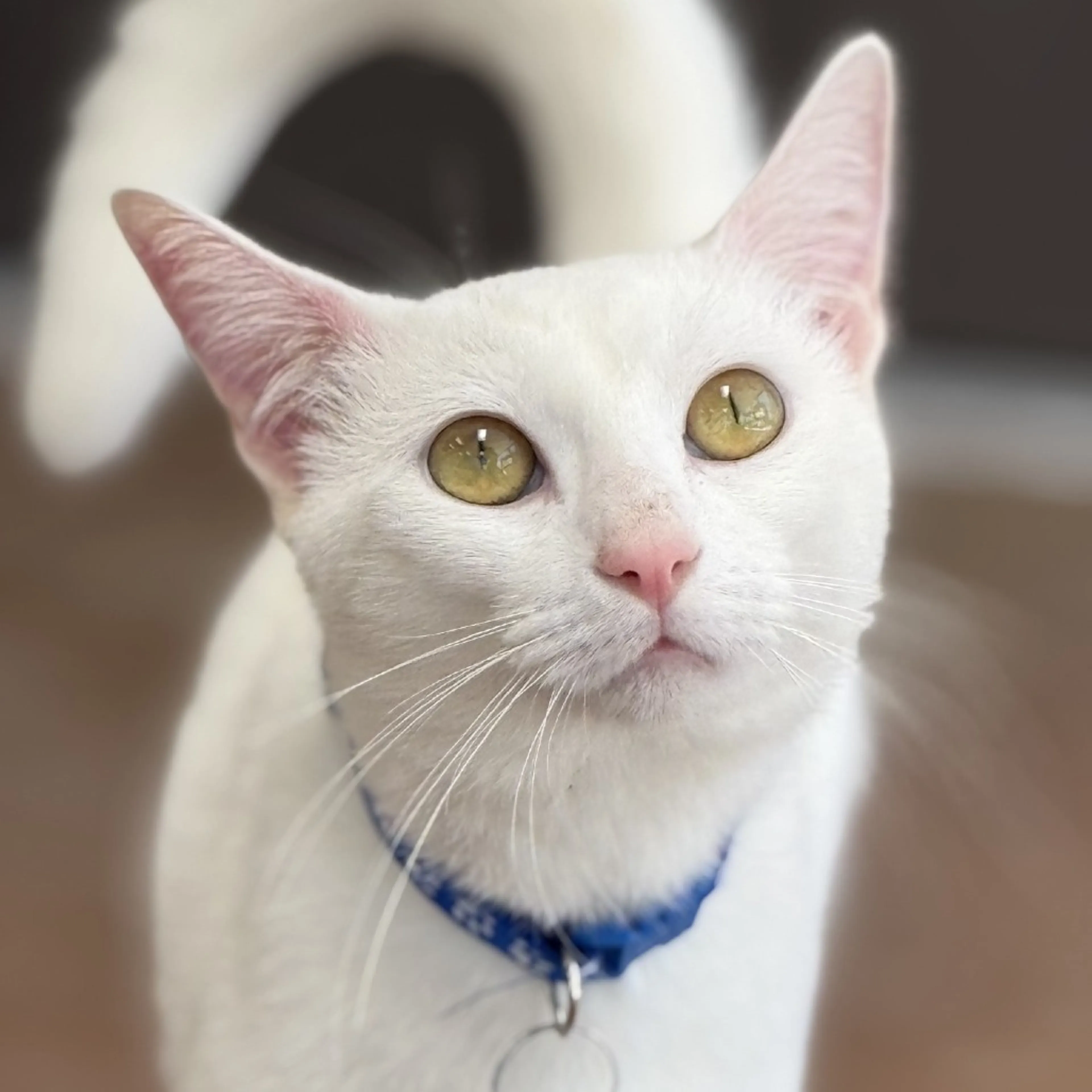 -0