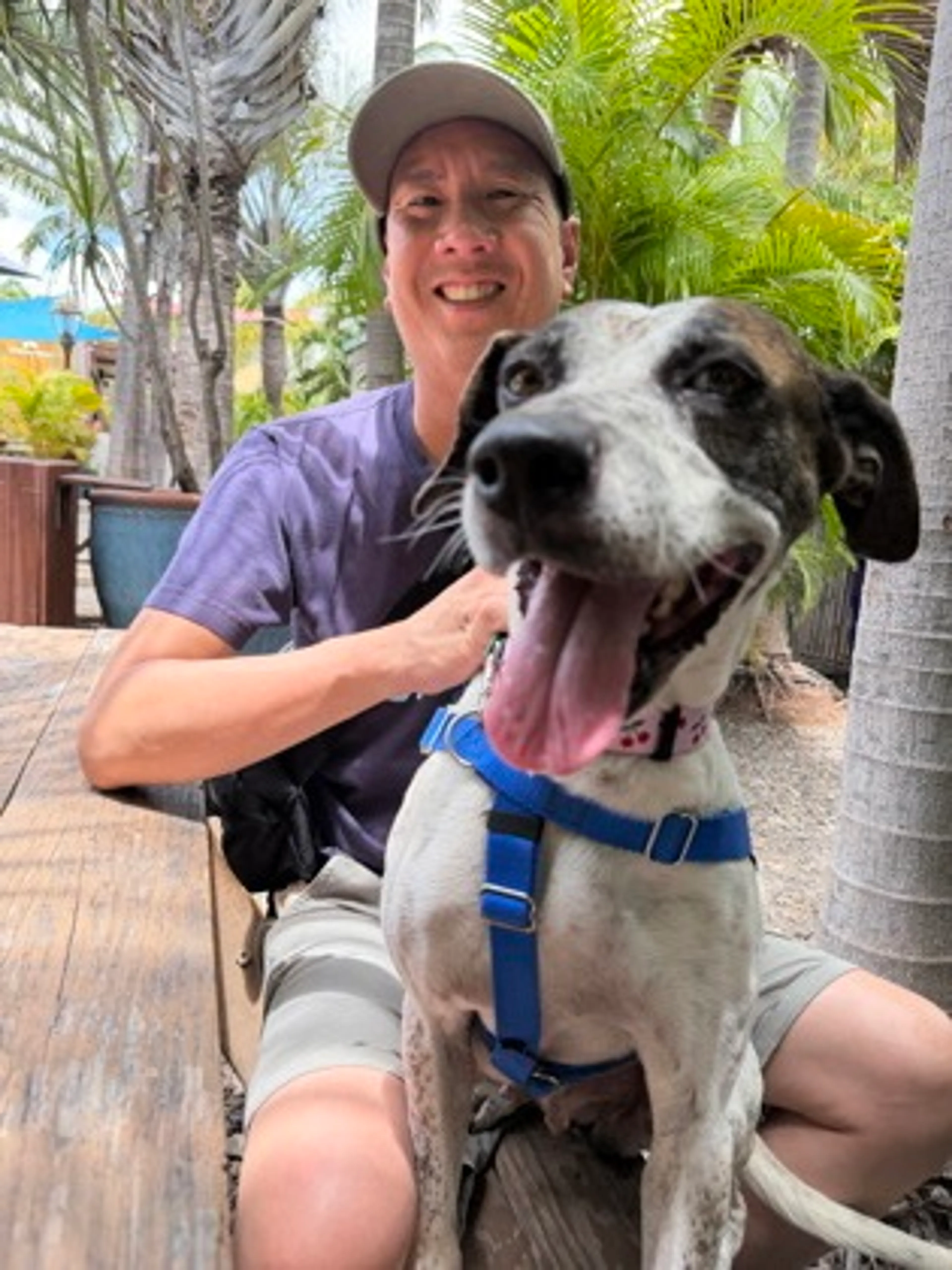 Found pet-2
