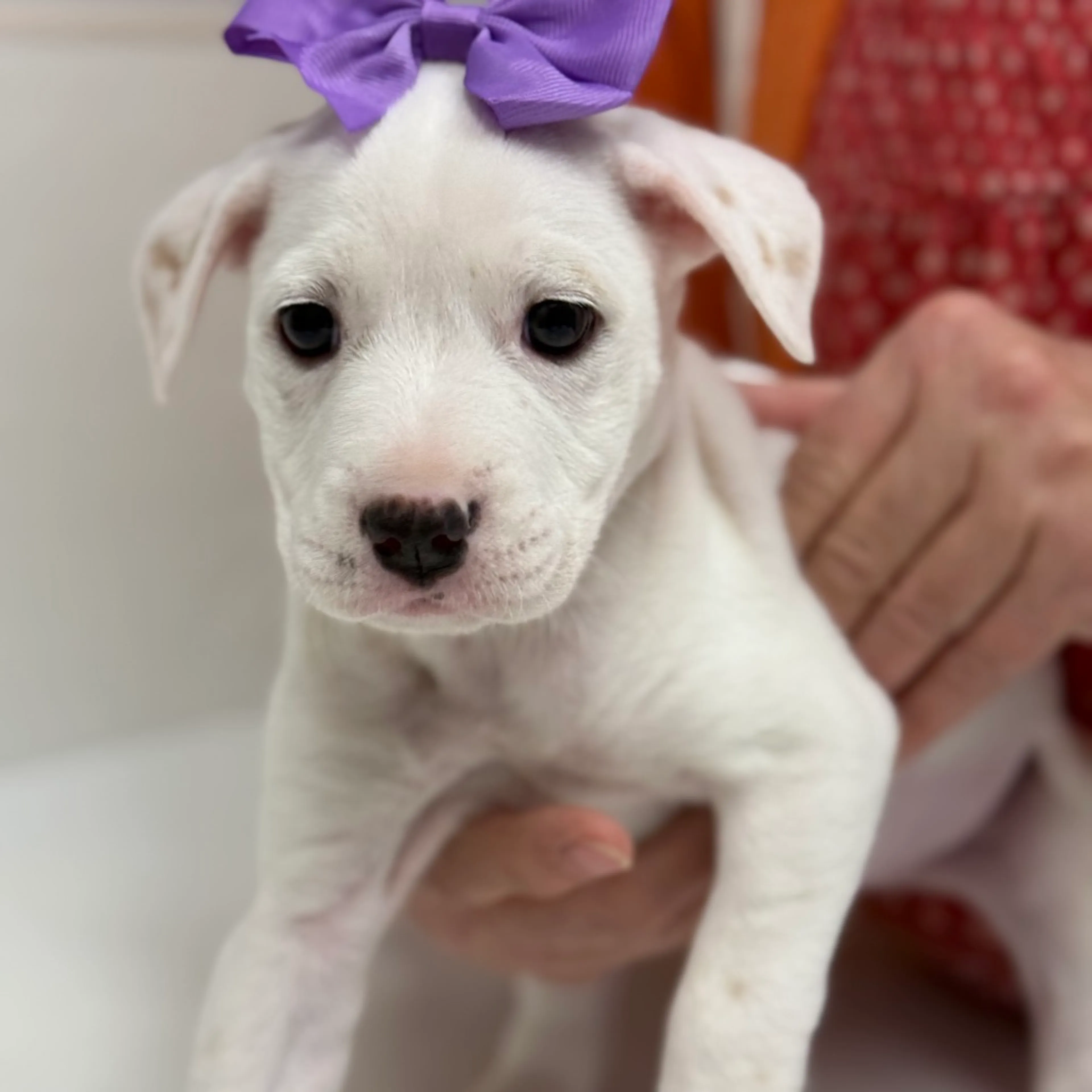 -22
