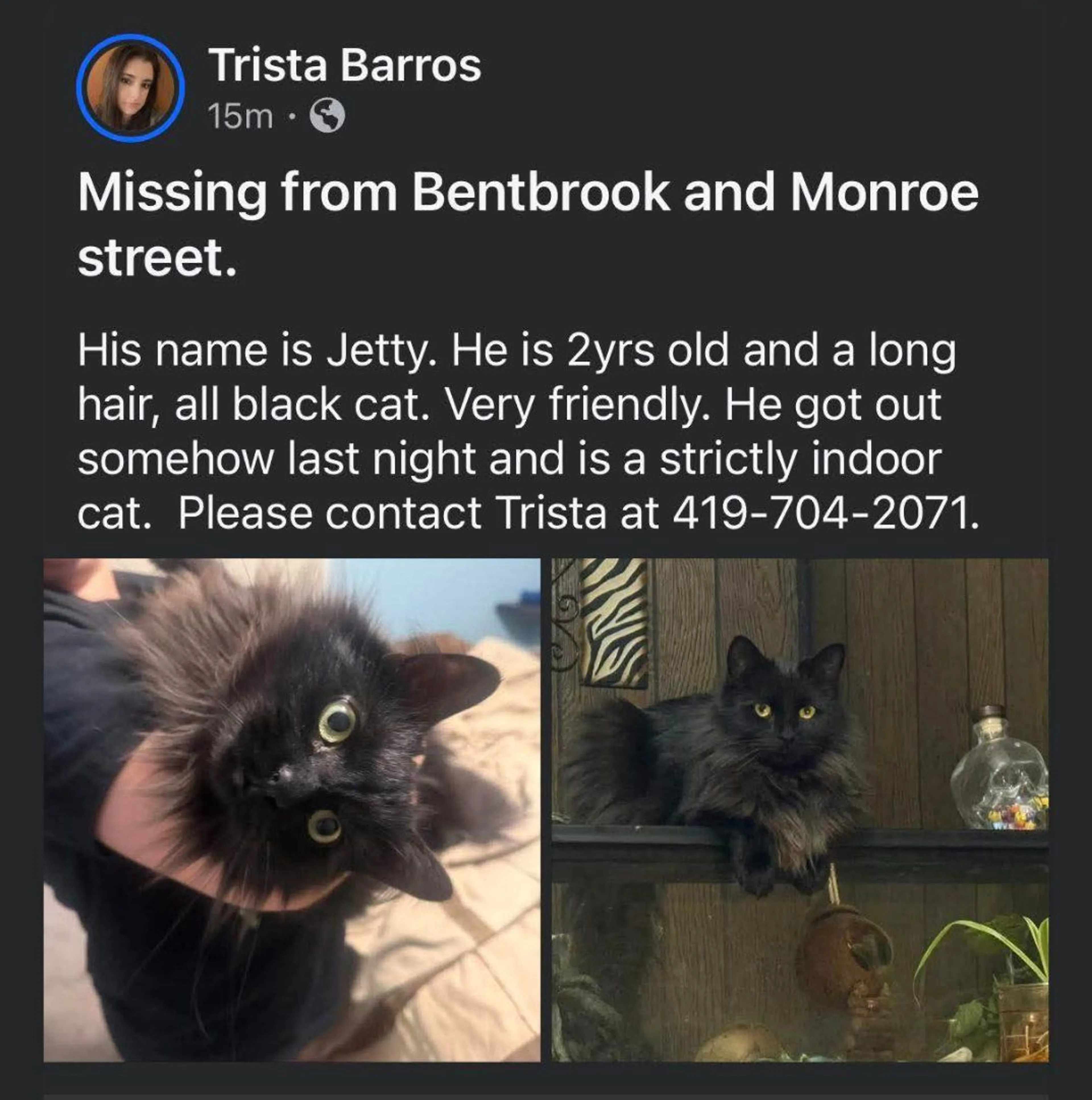 Lost pet