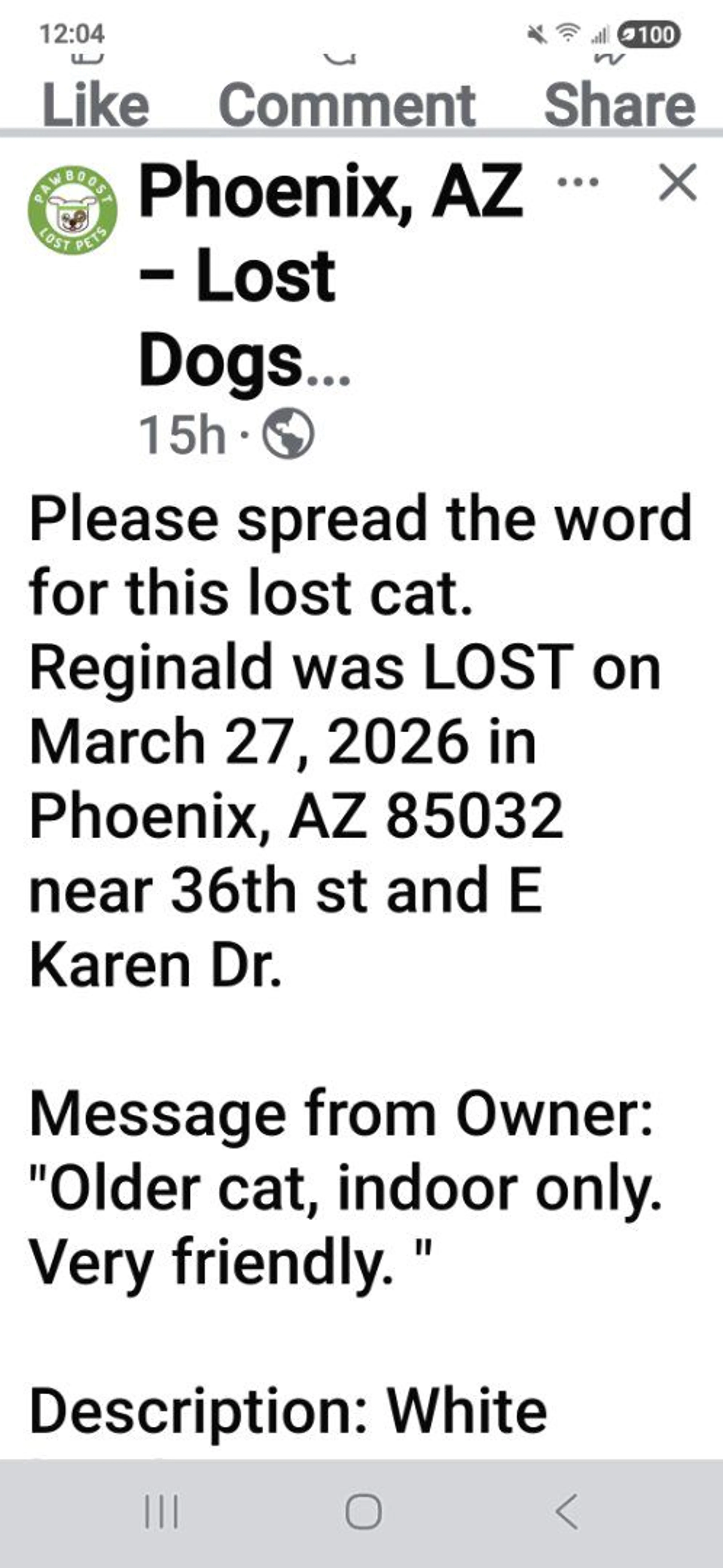 Lost pet-2