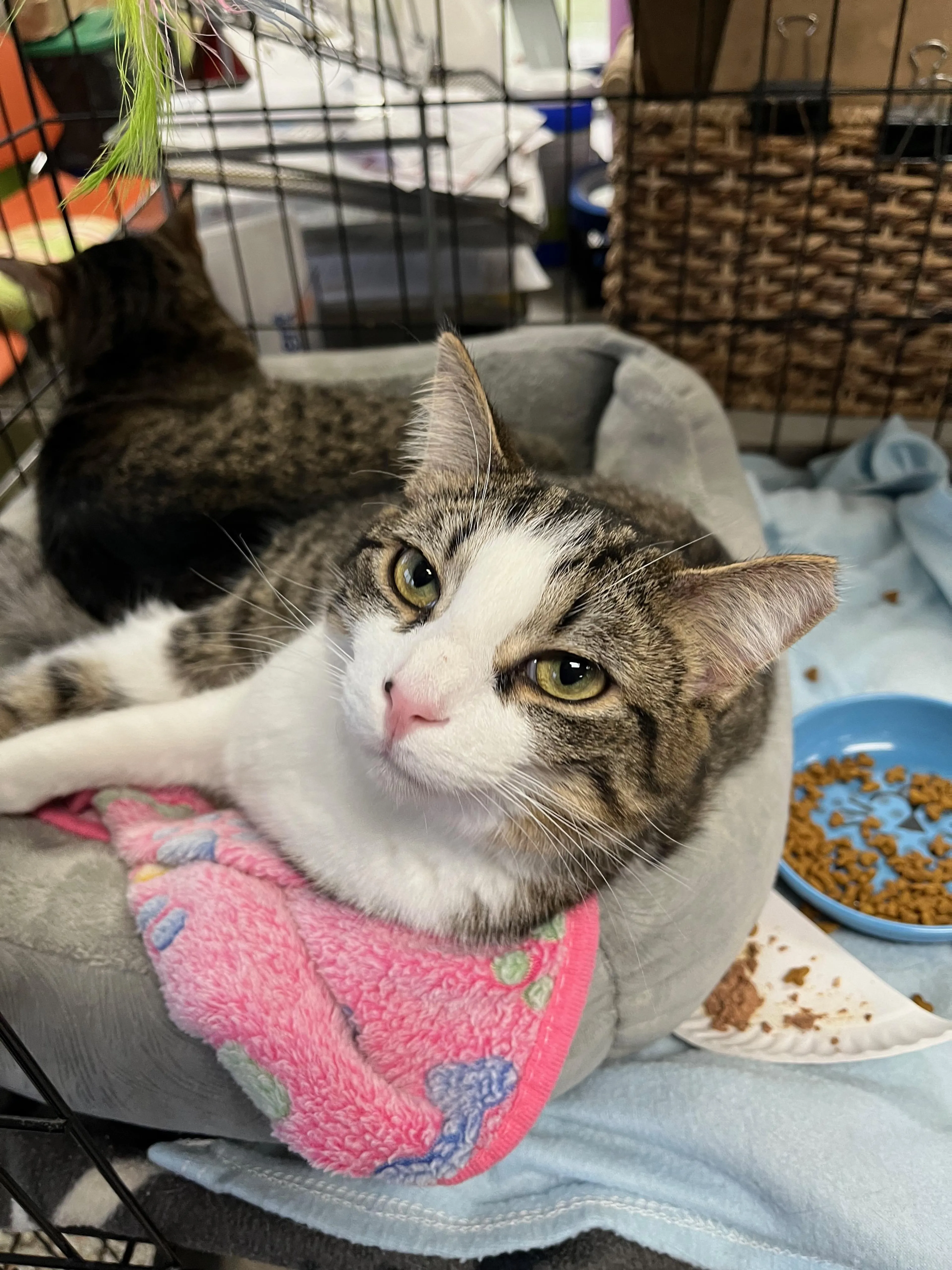 -1