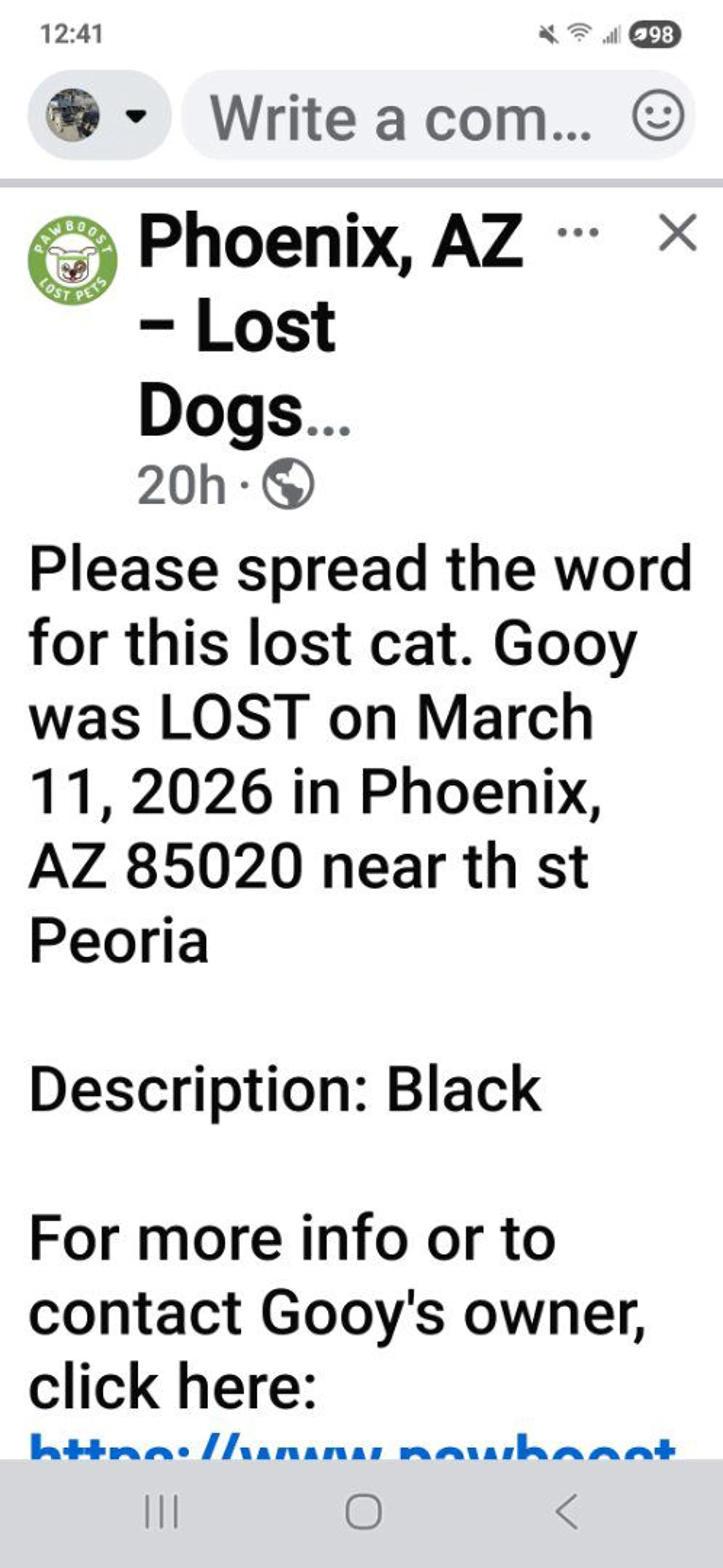 Lost pet-2