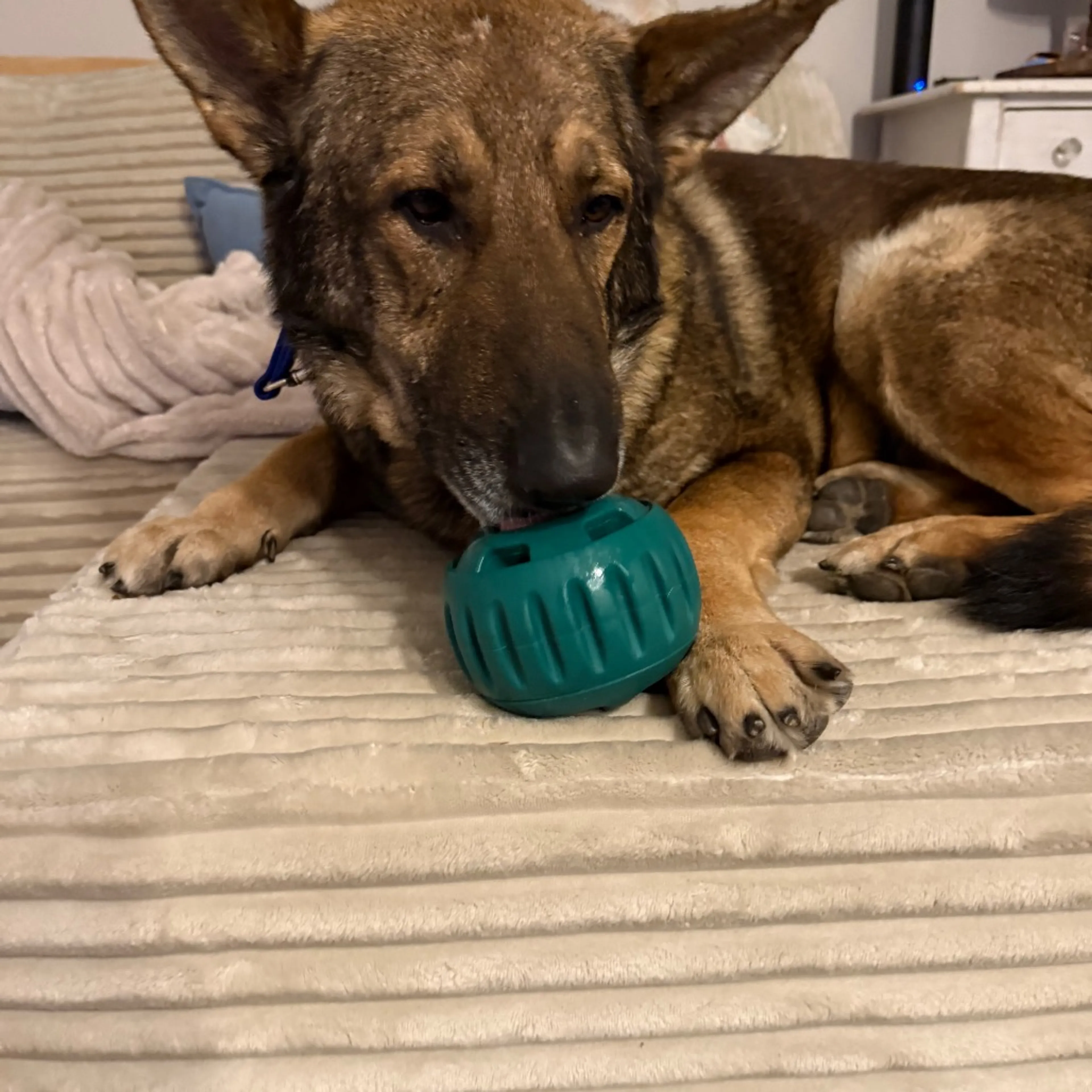-3