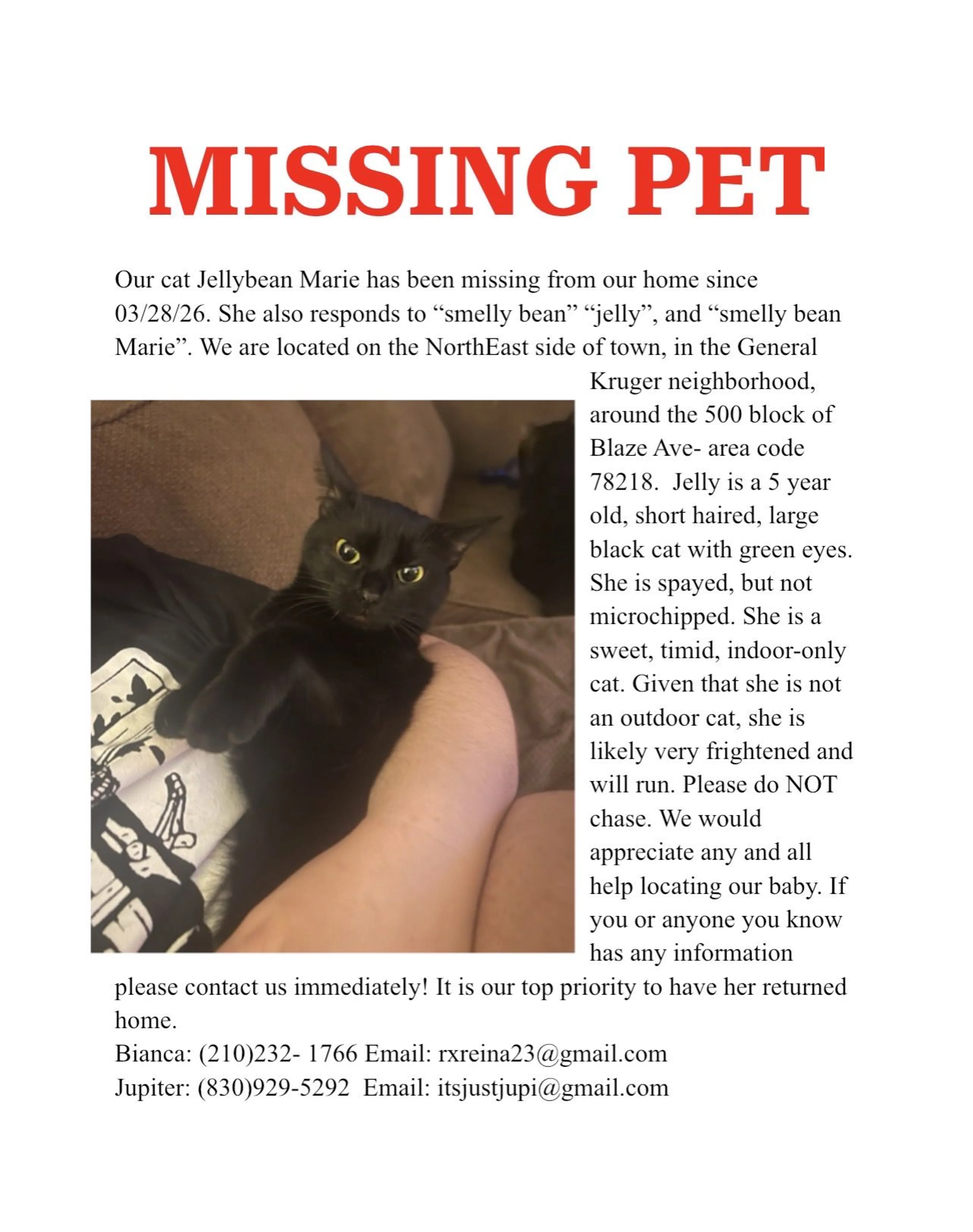 Lost pet