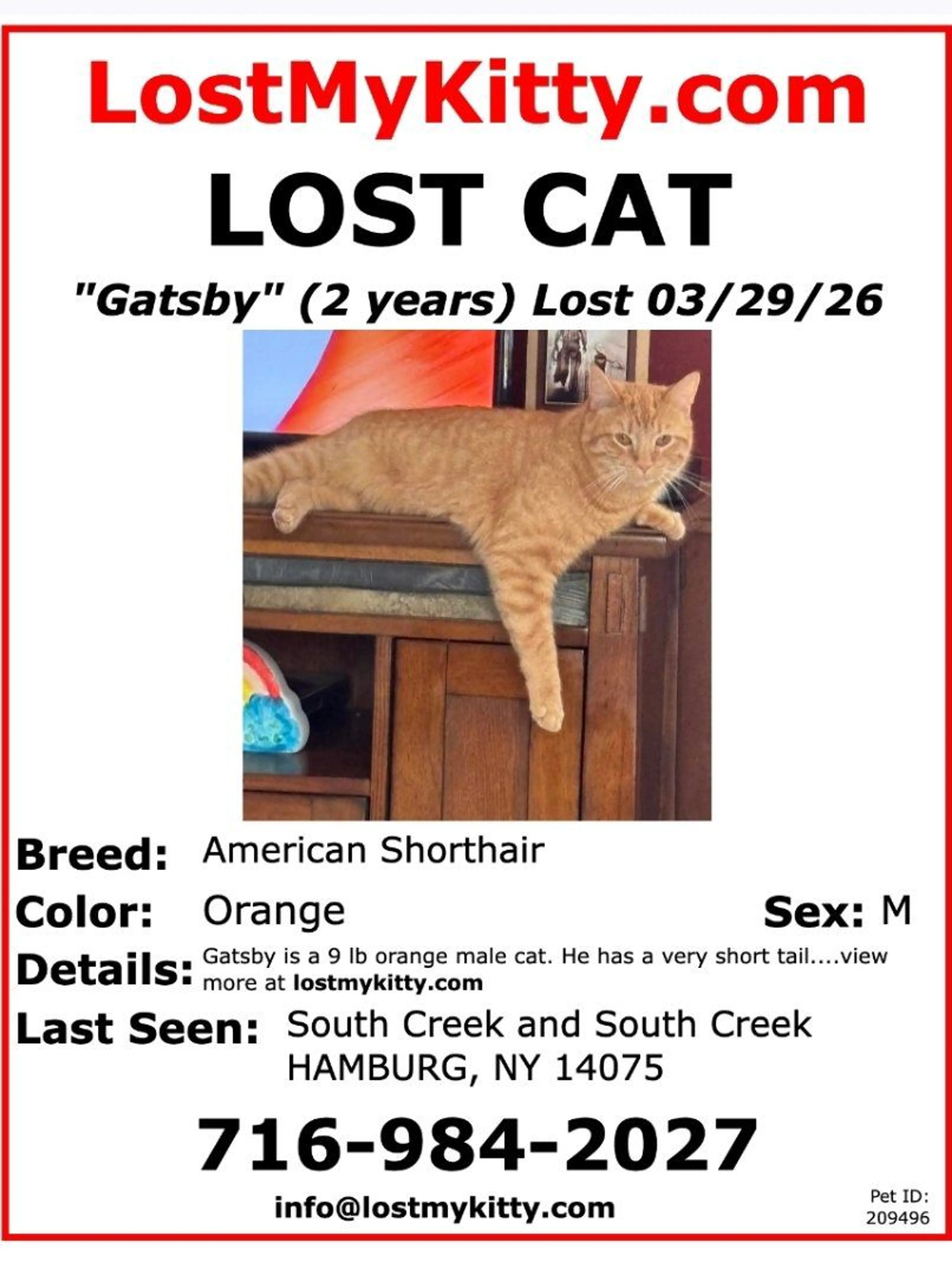 Lost pet