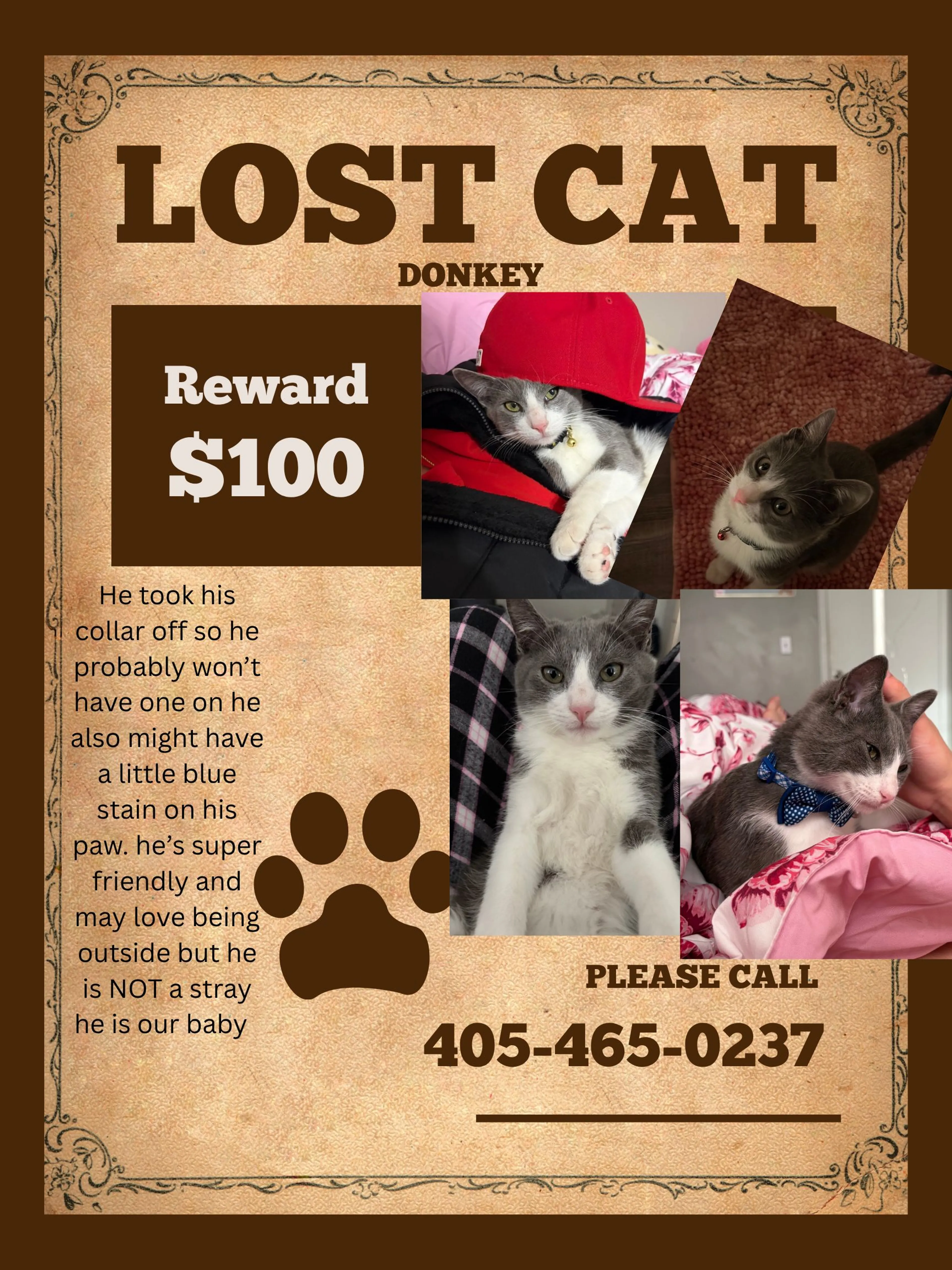 Lost pet
