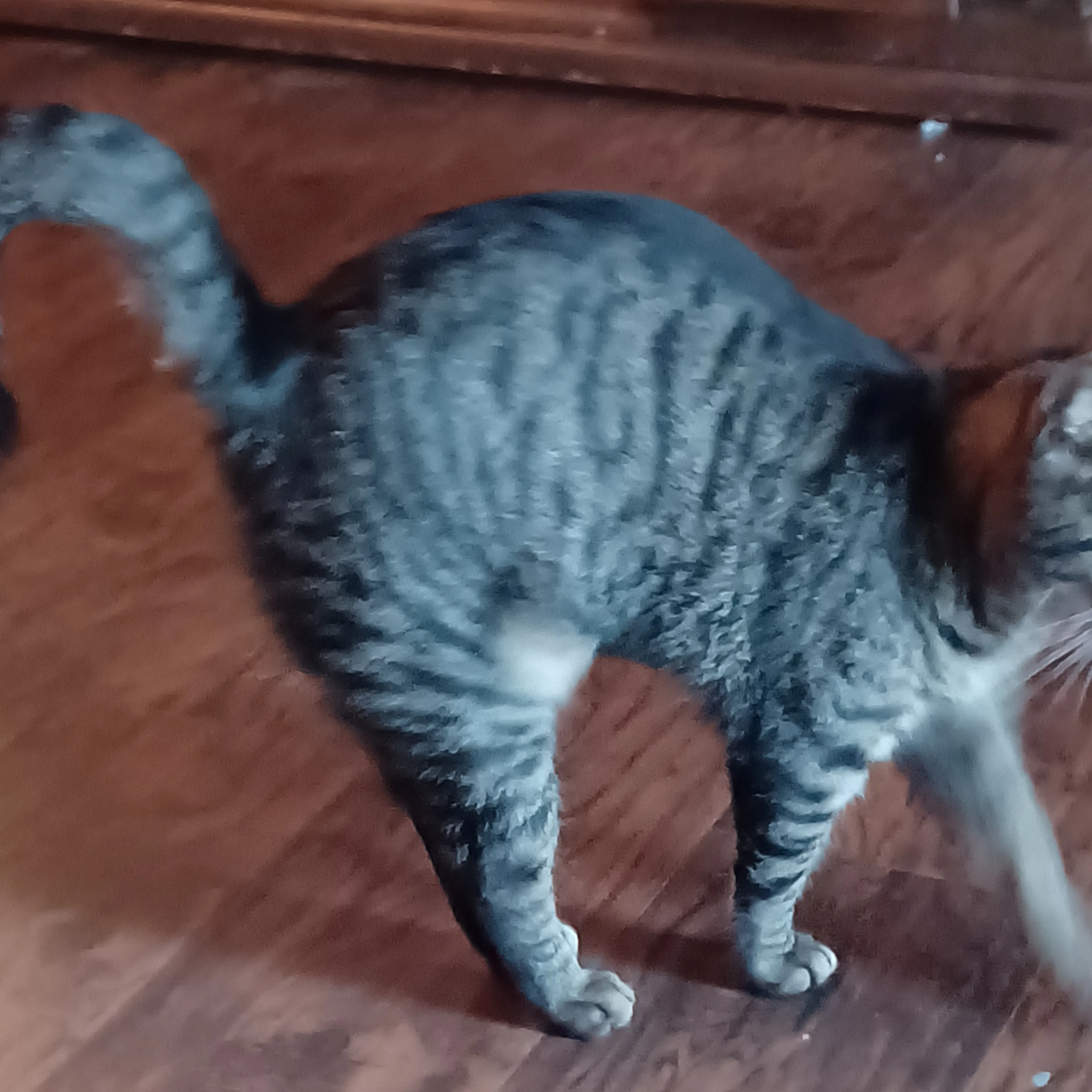 -1