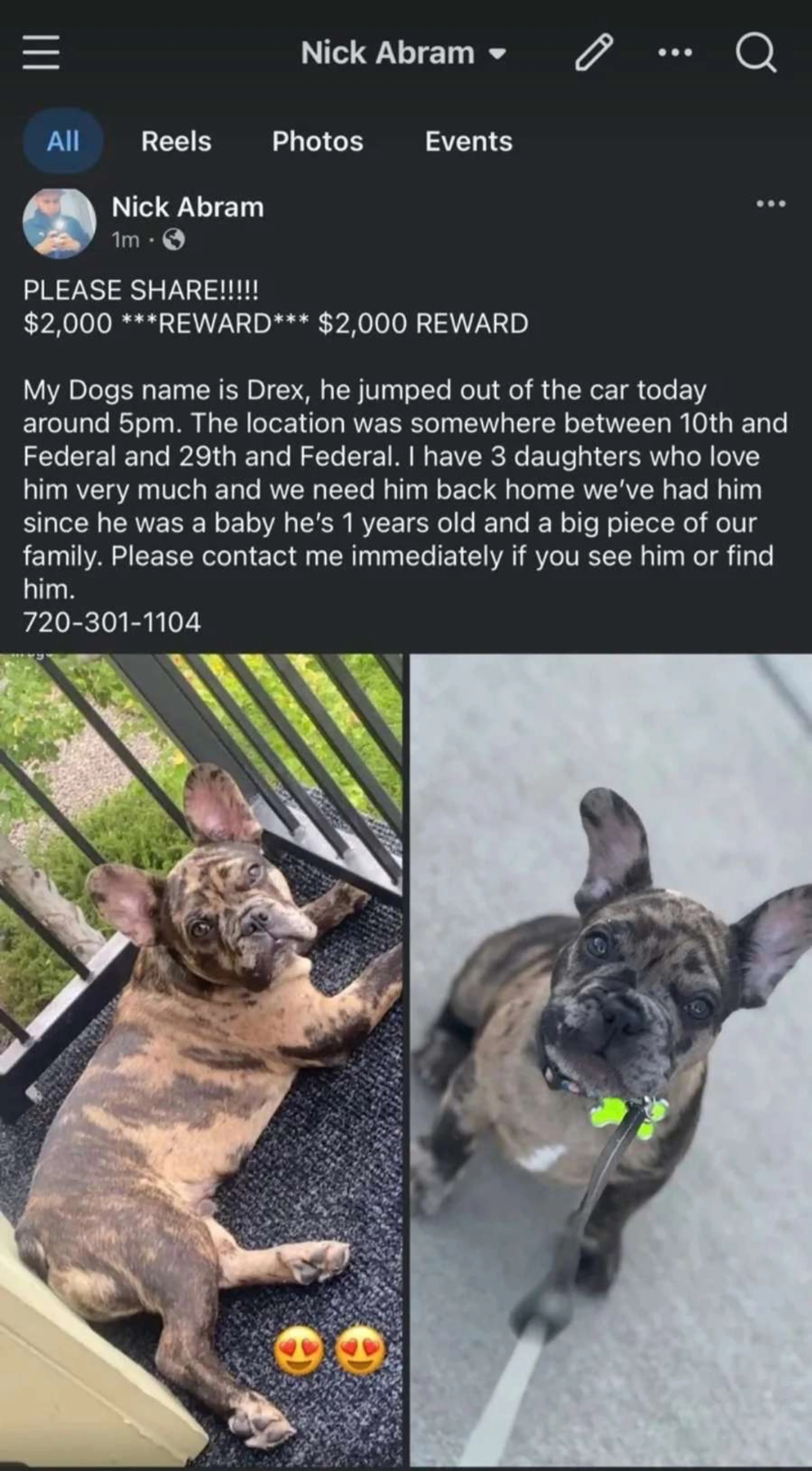 Lost pet