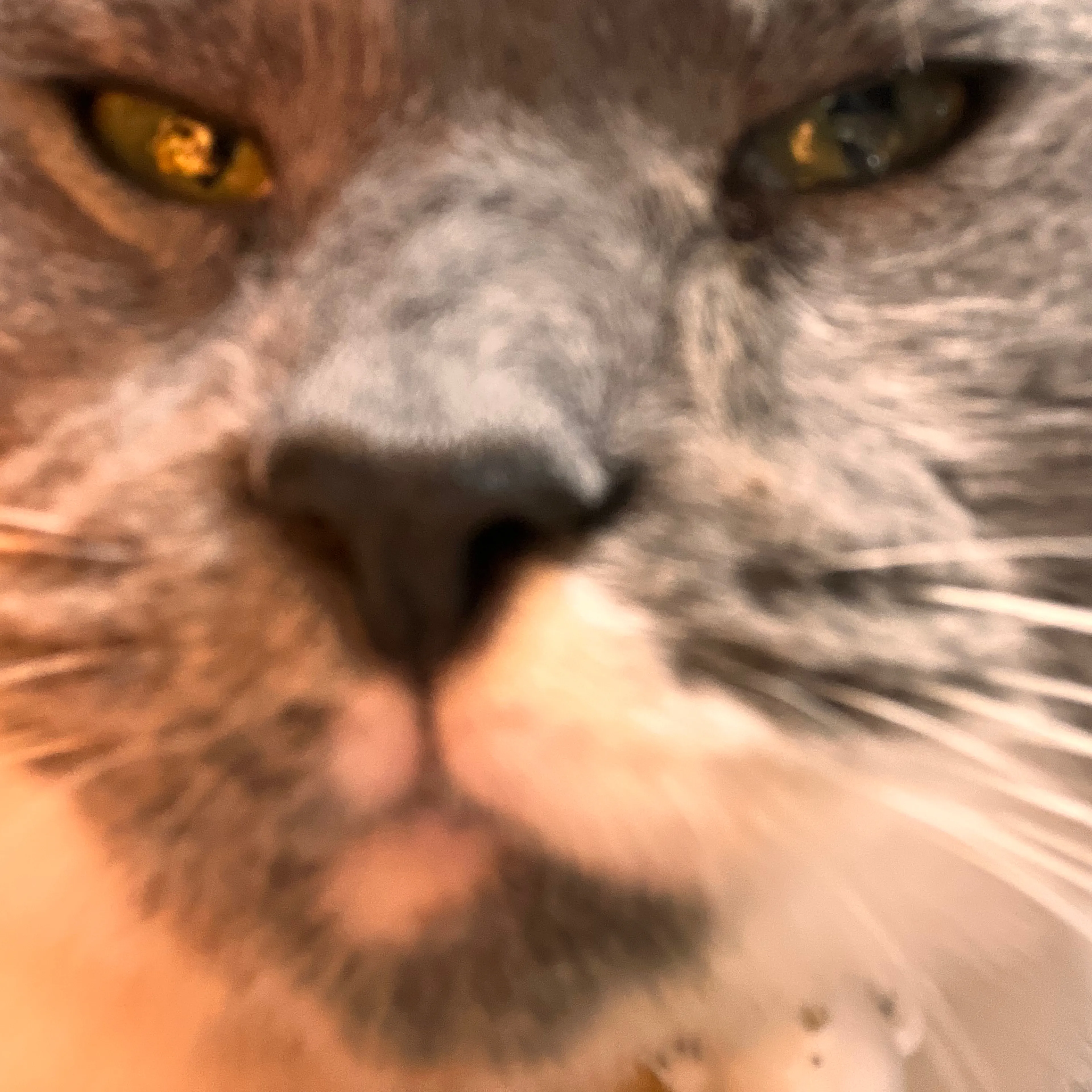 -3