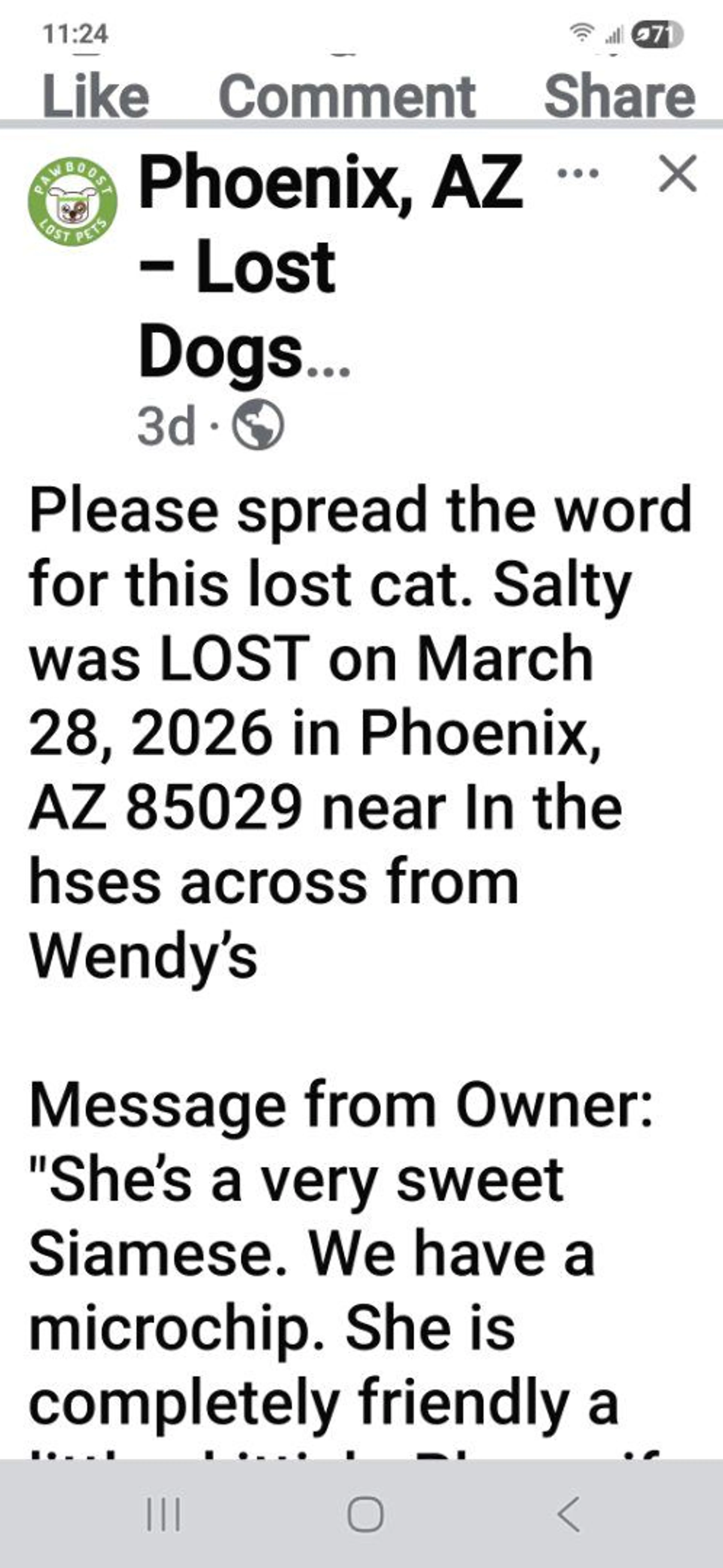 Lost pet-1
