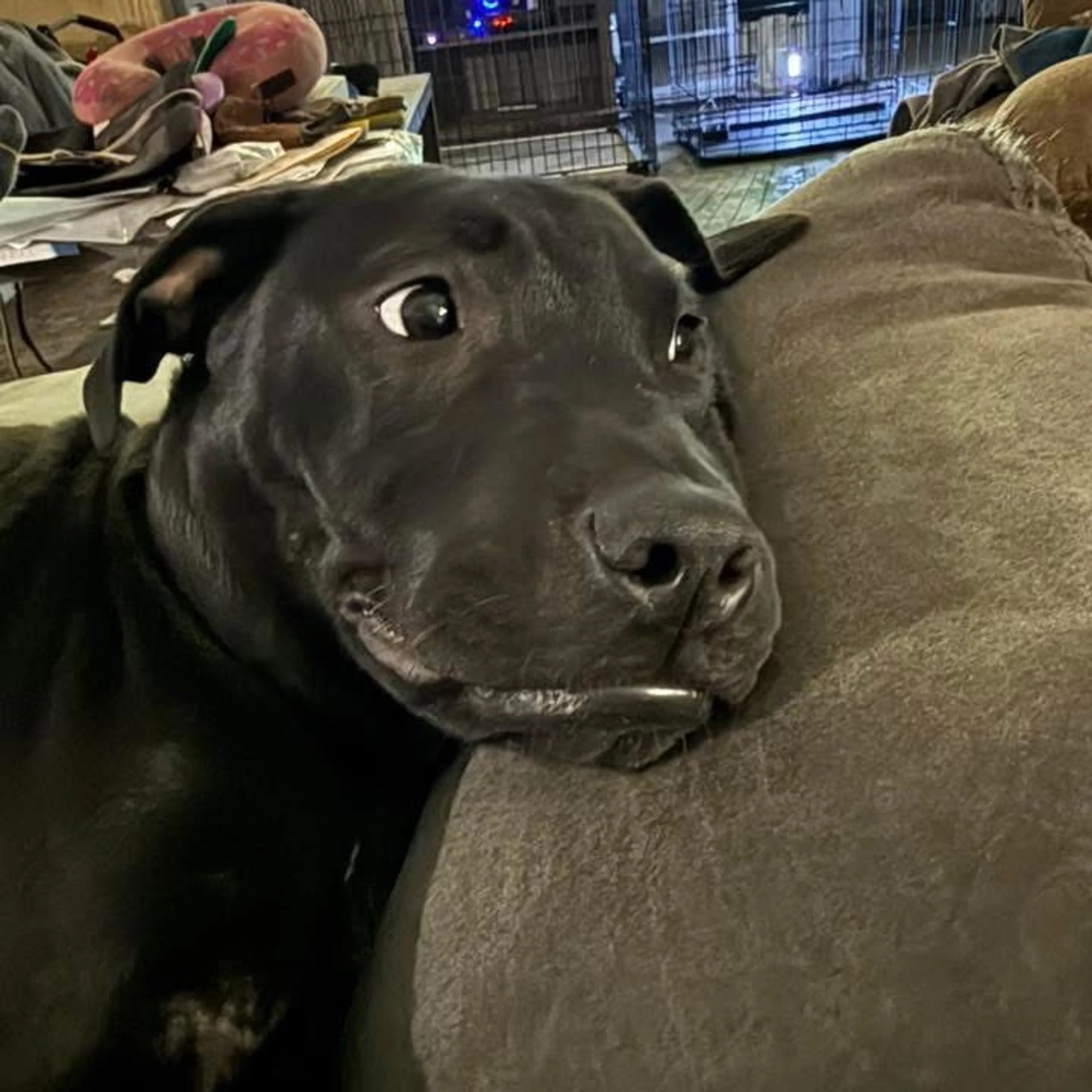 -12