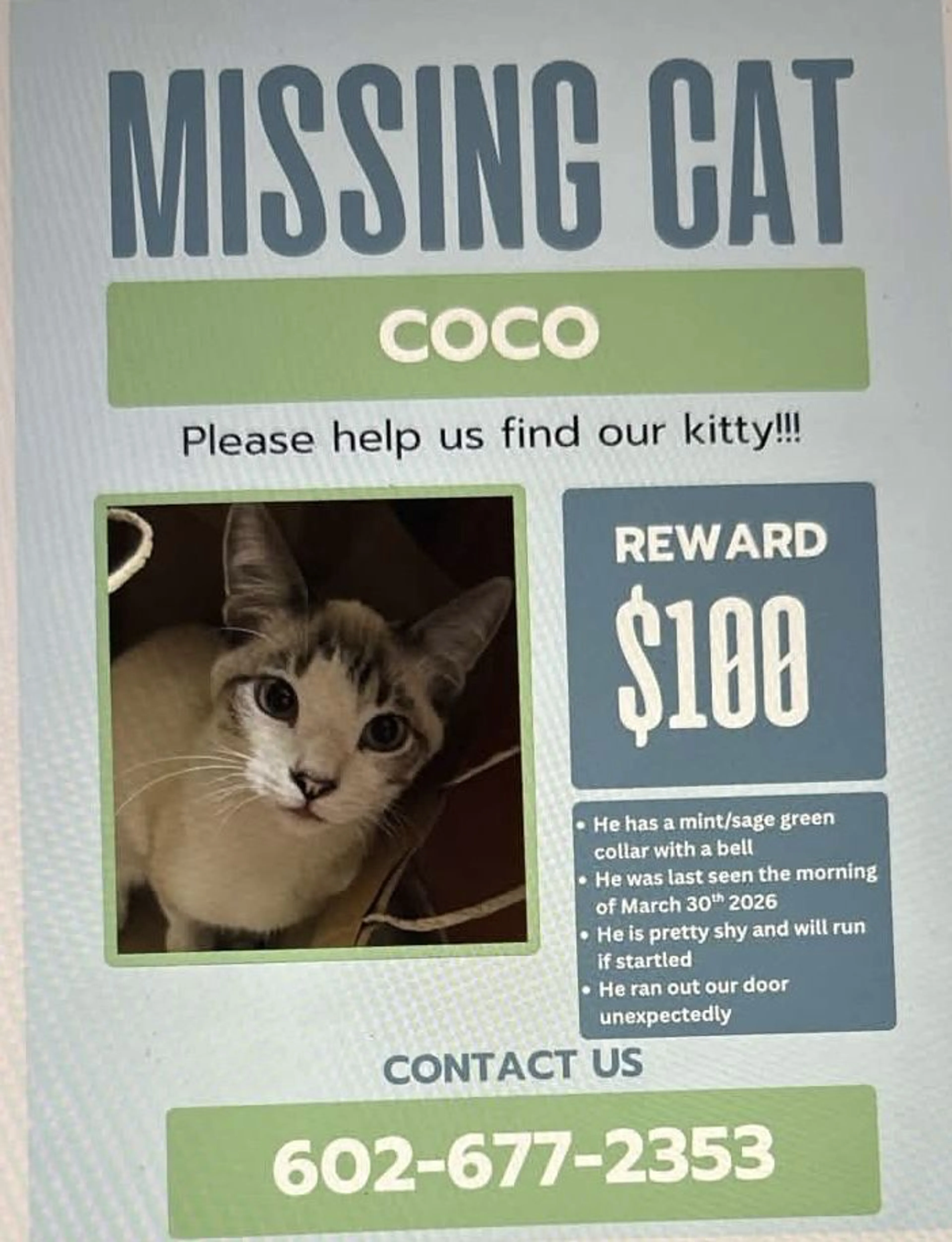 Lost pet
