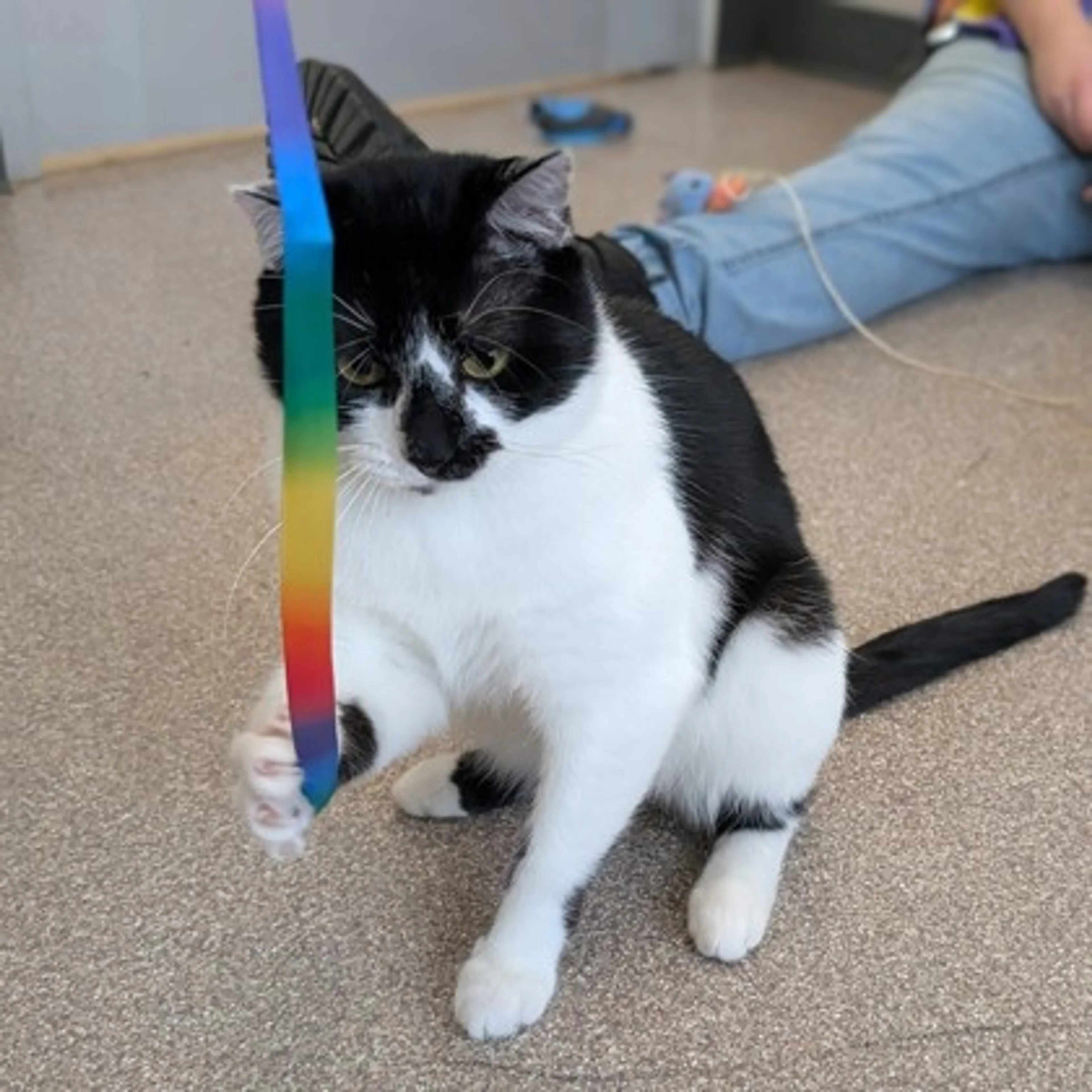 -1