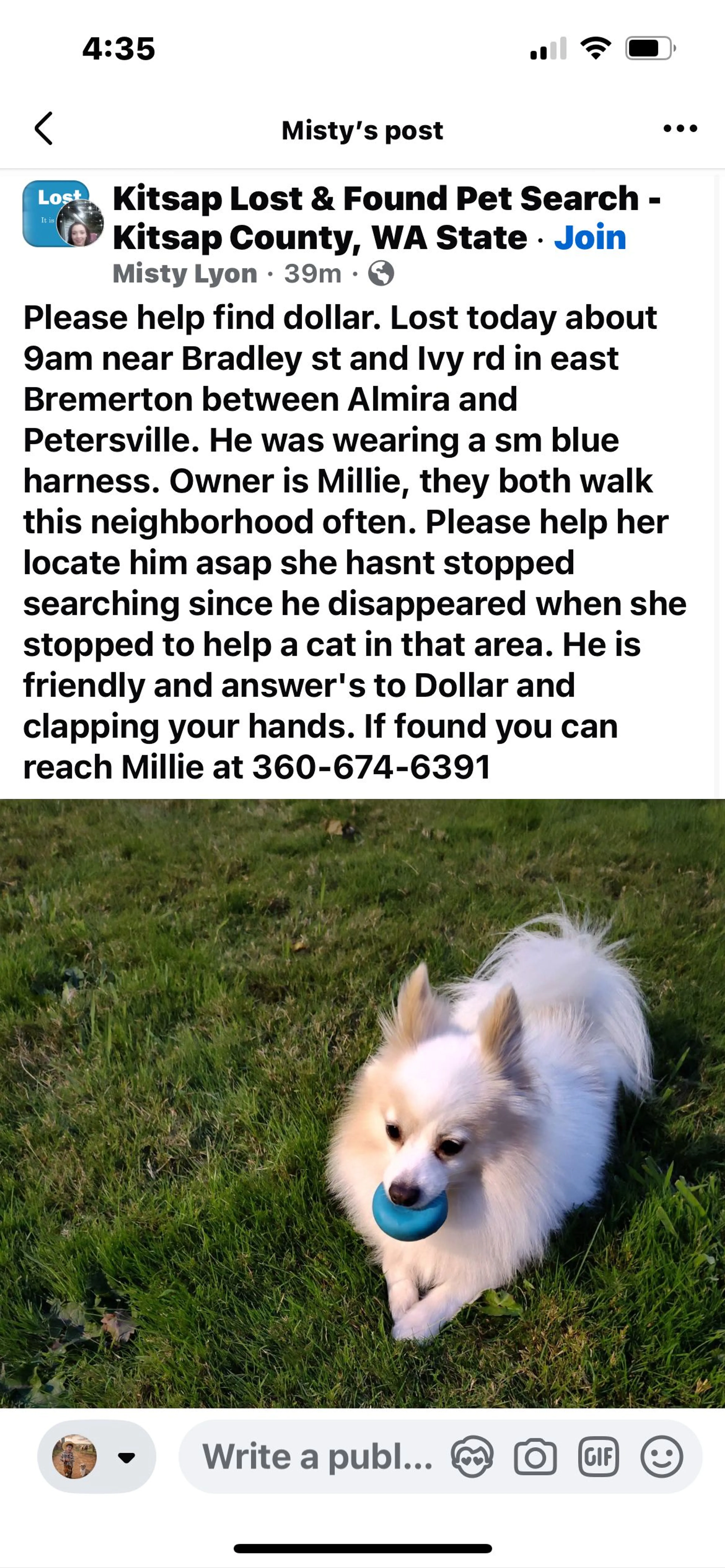 Lost pet