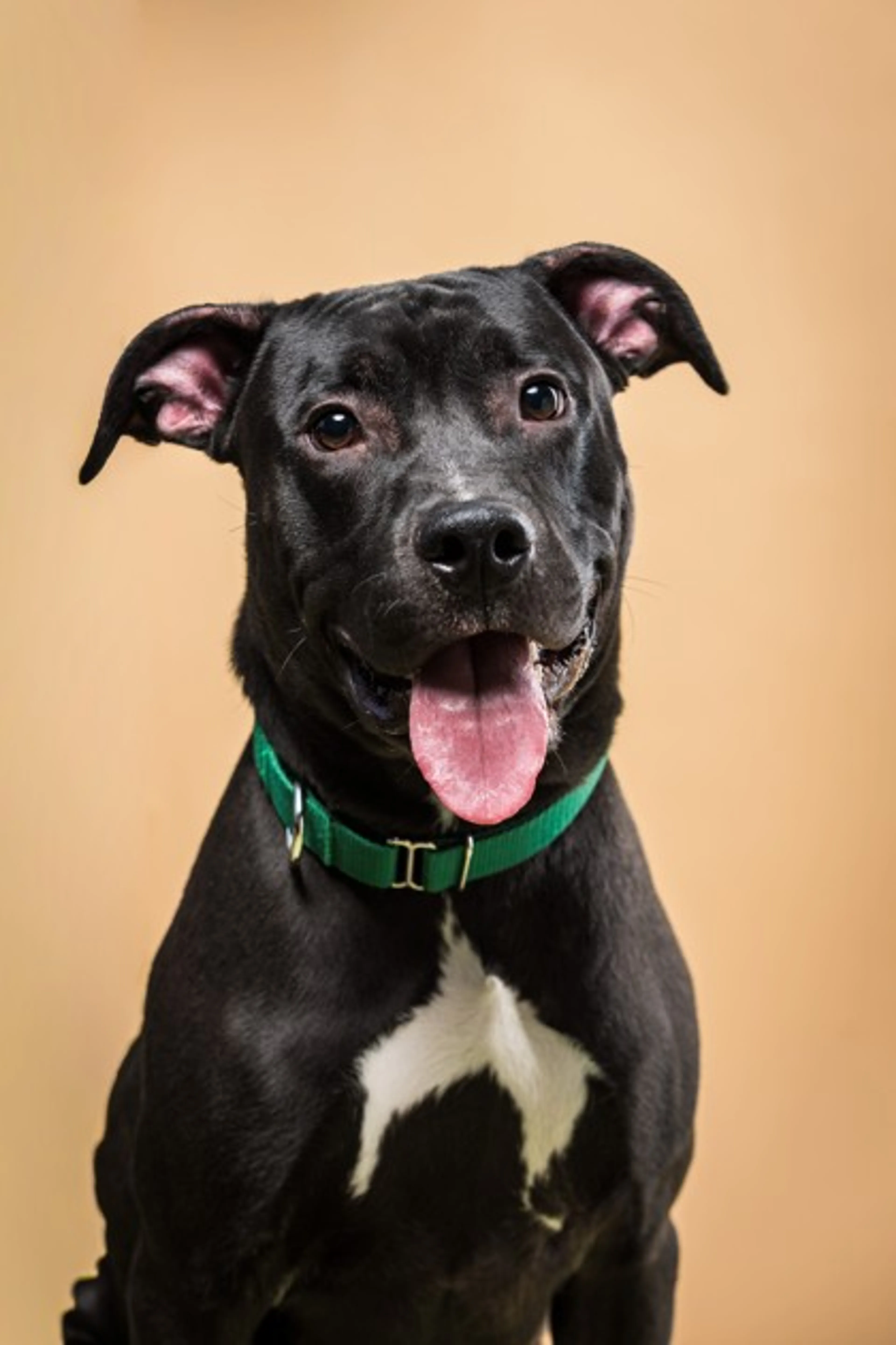 cdn image