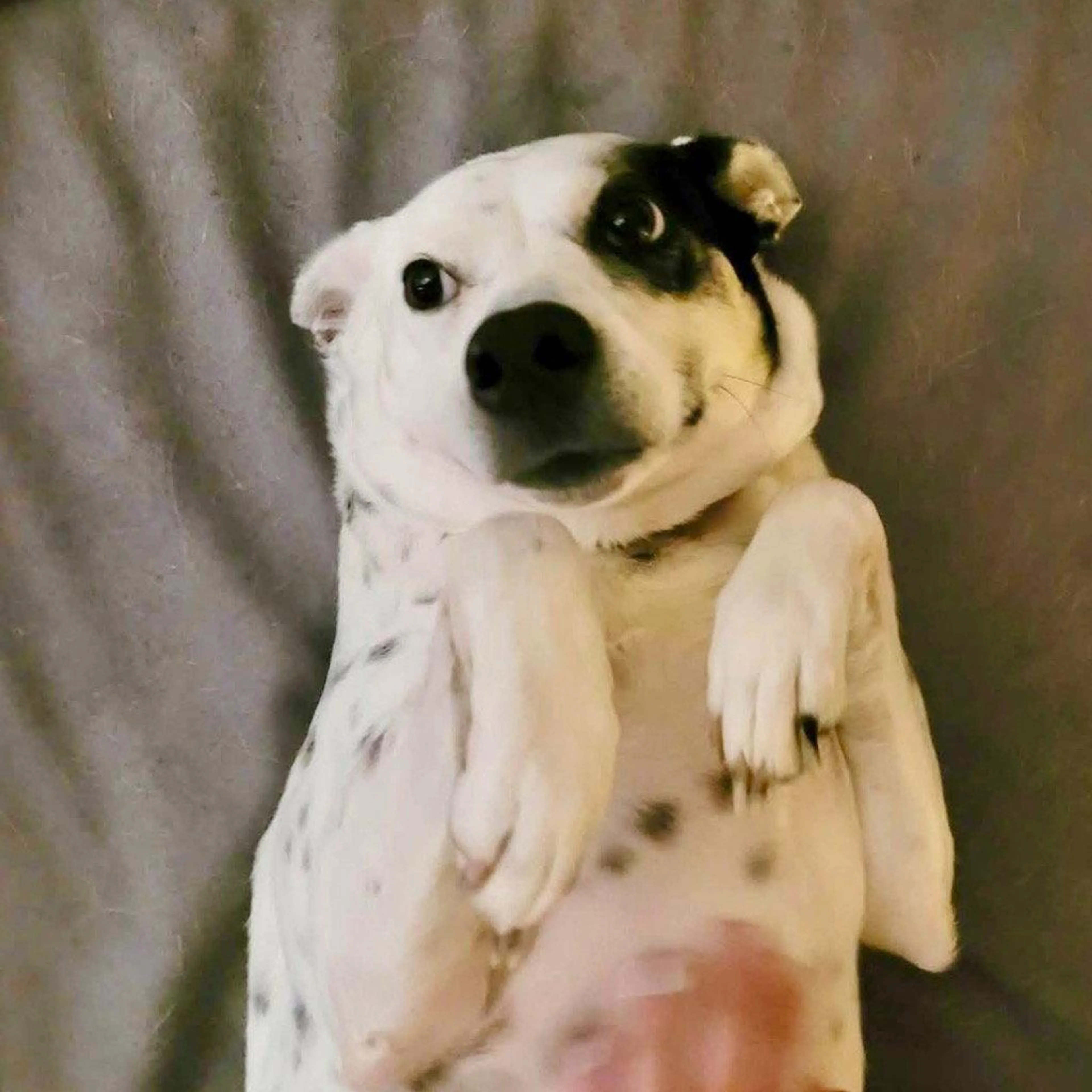 -2