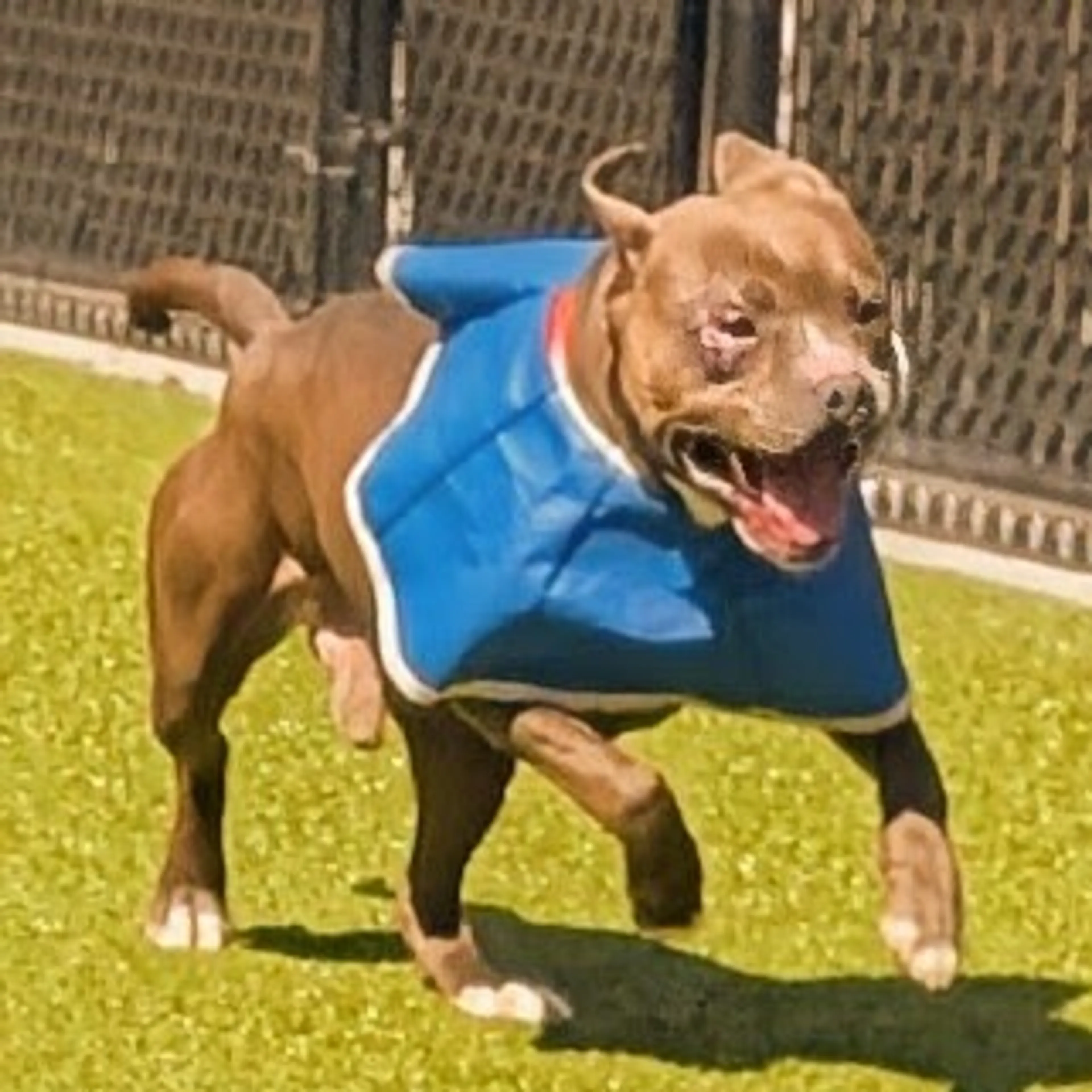 -19