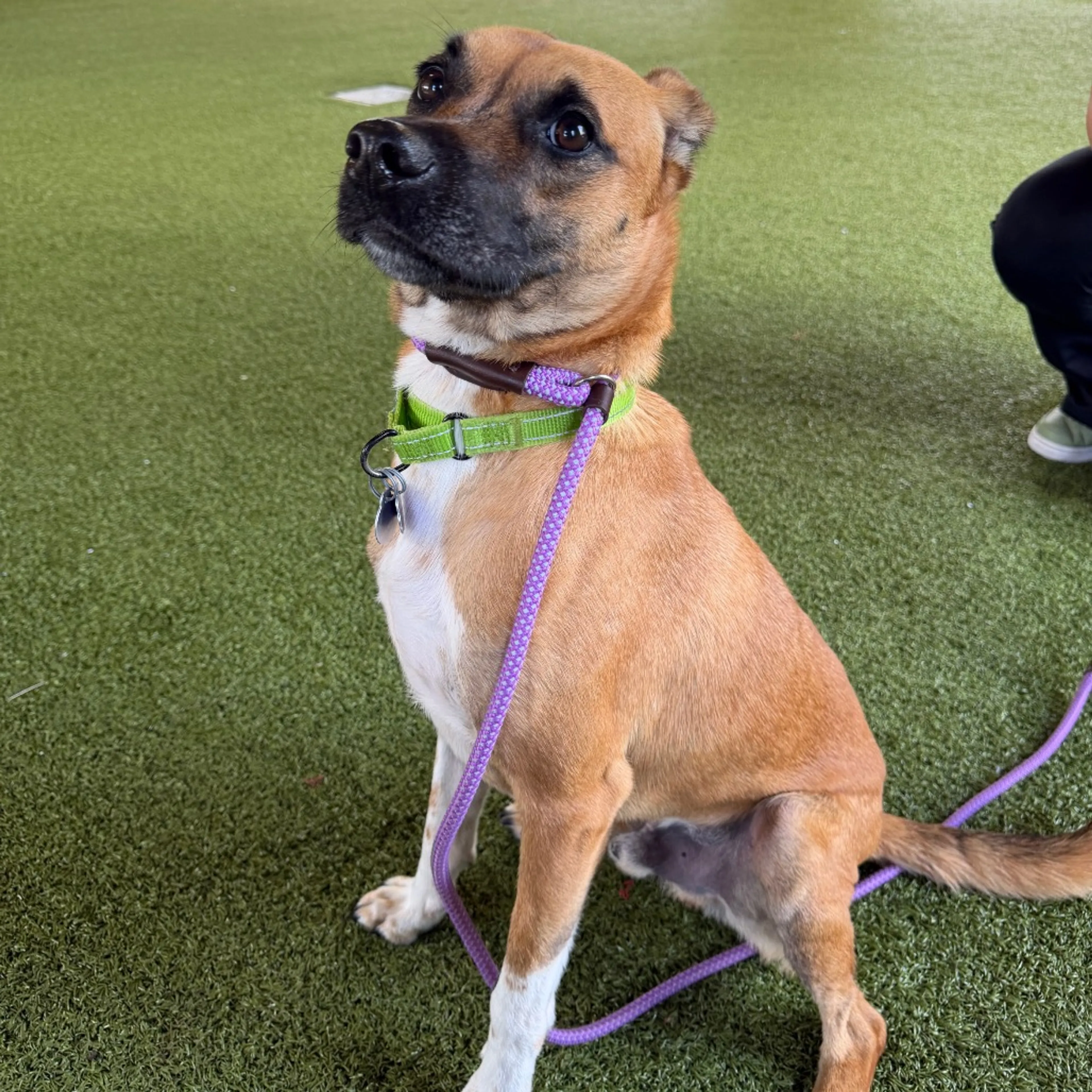 -7