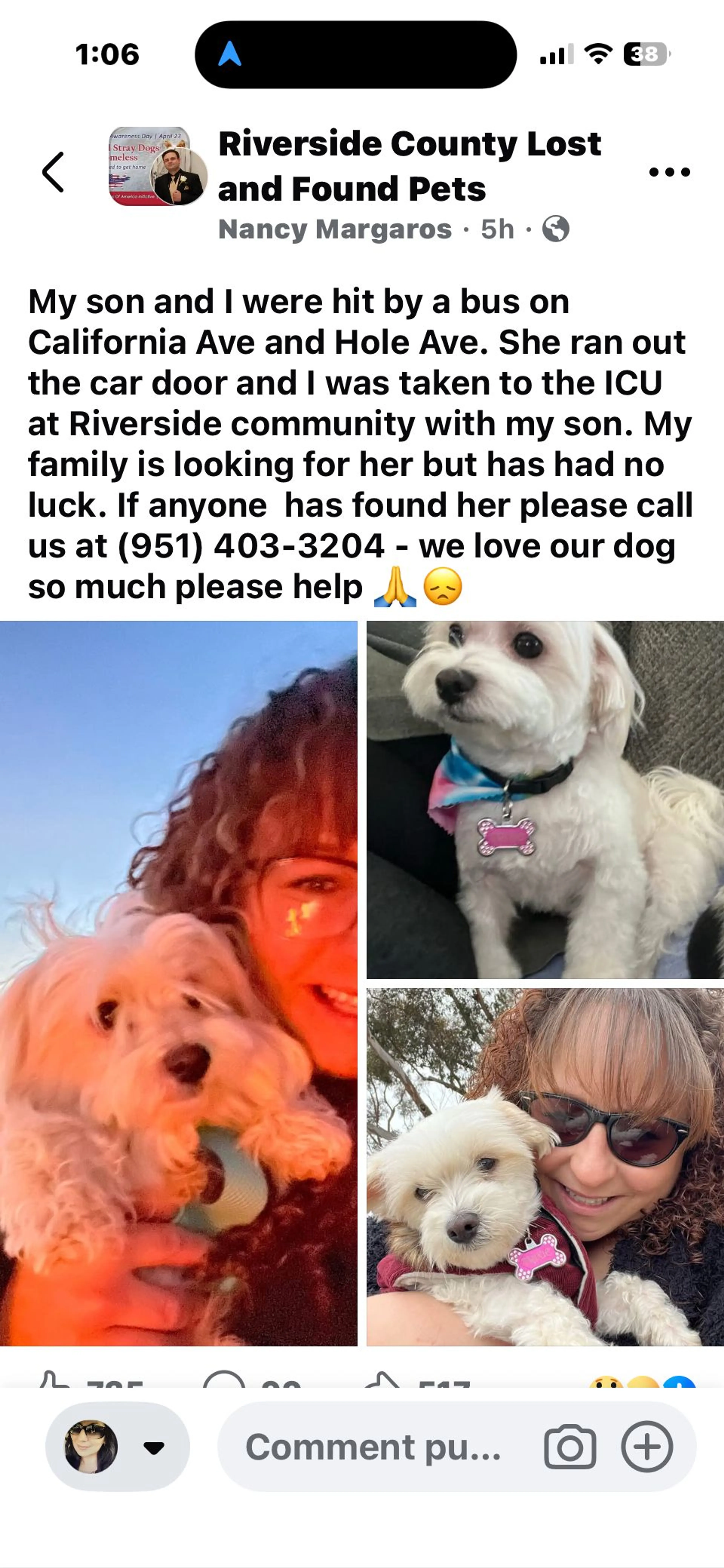 Lost pet