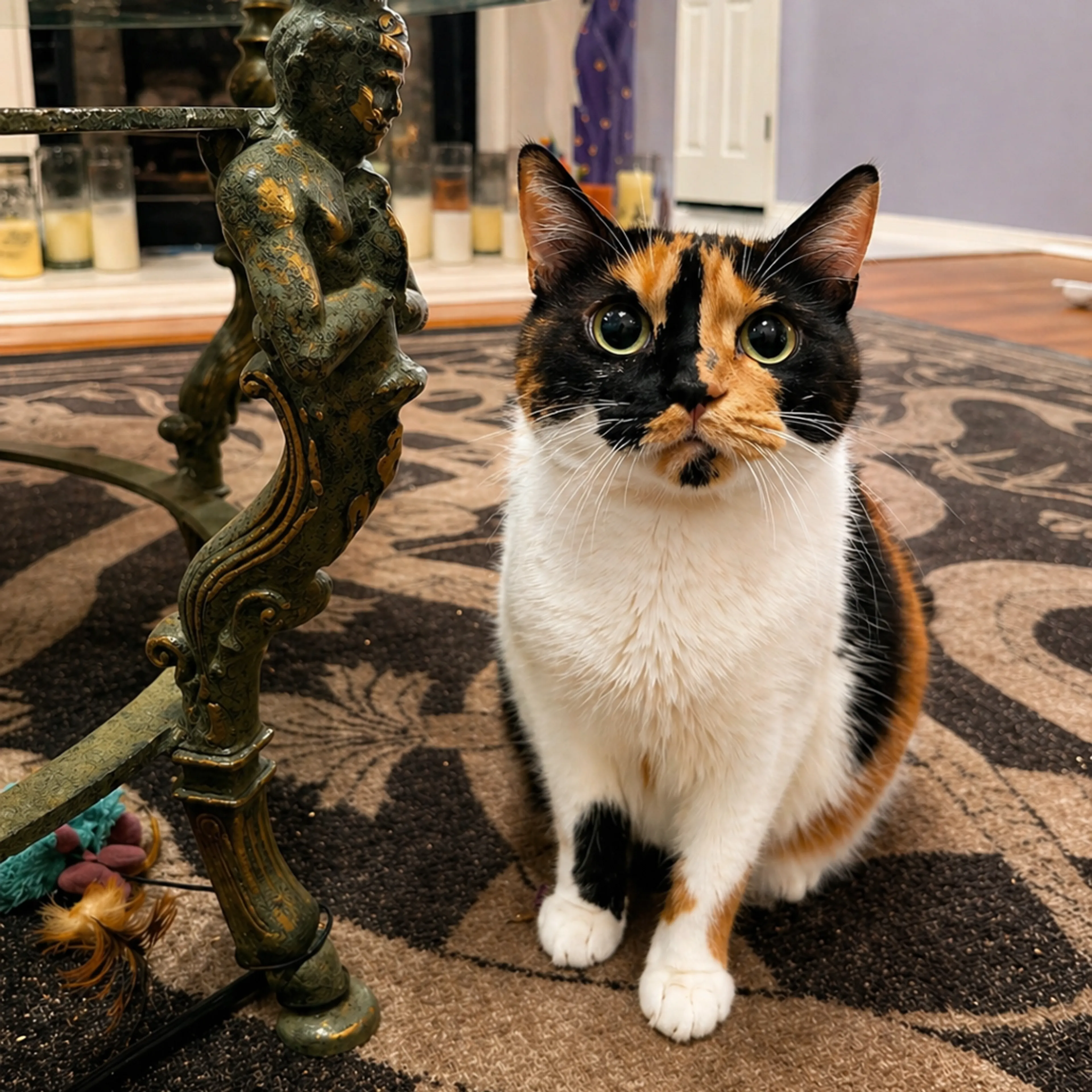 Found pet-4
