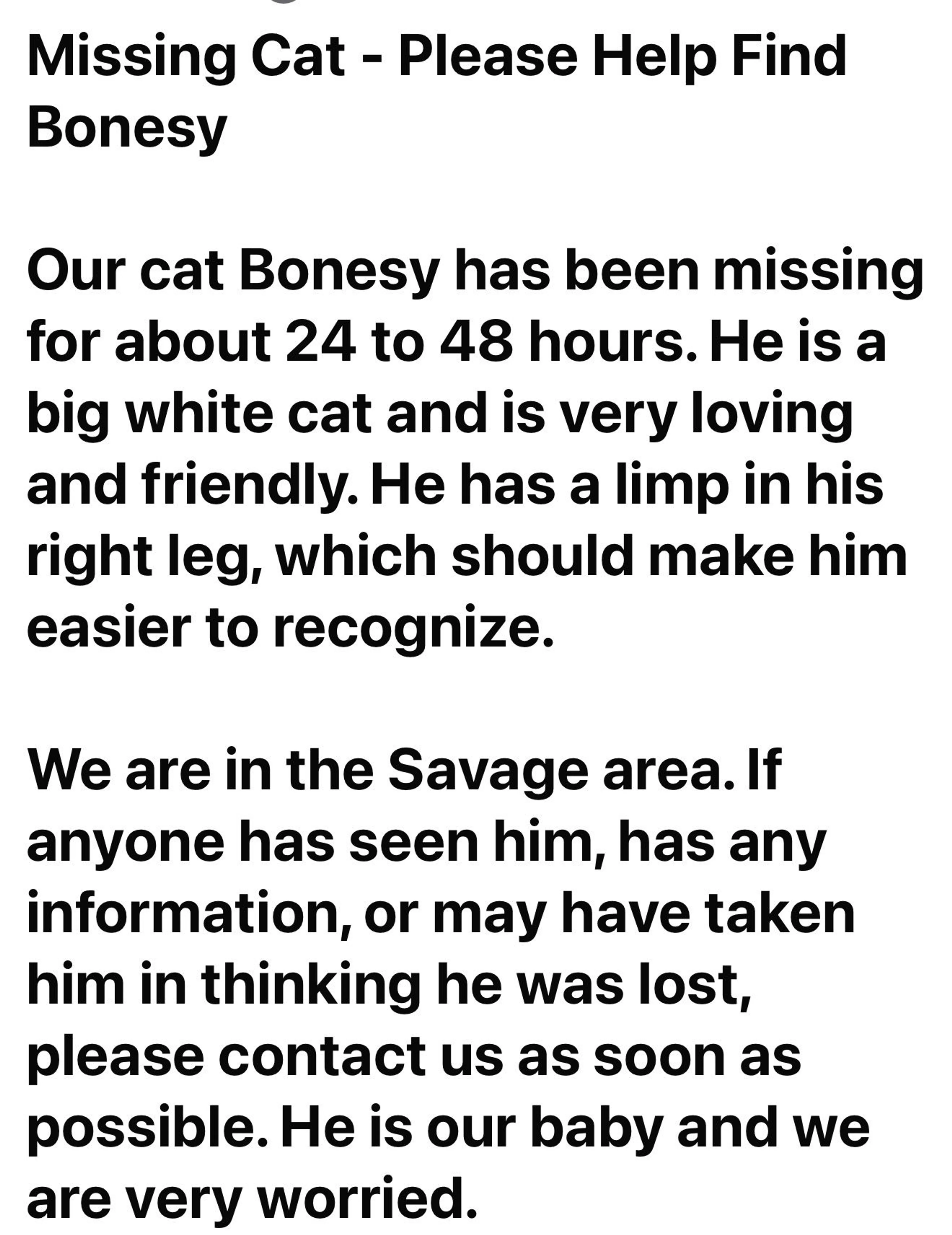 Lost pet-1