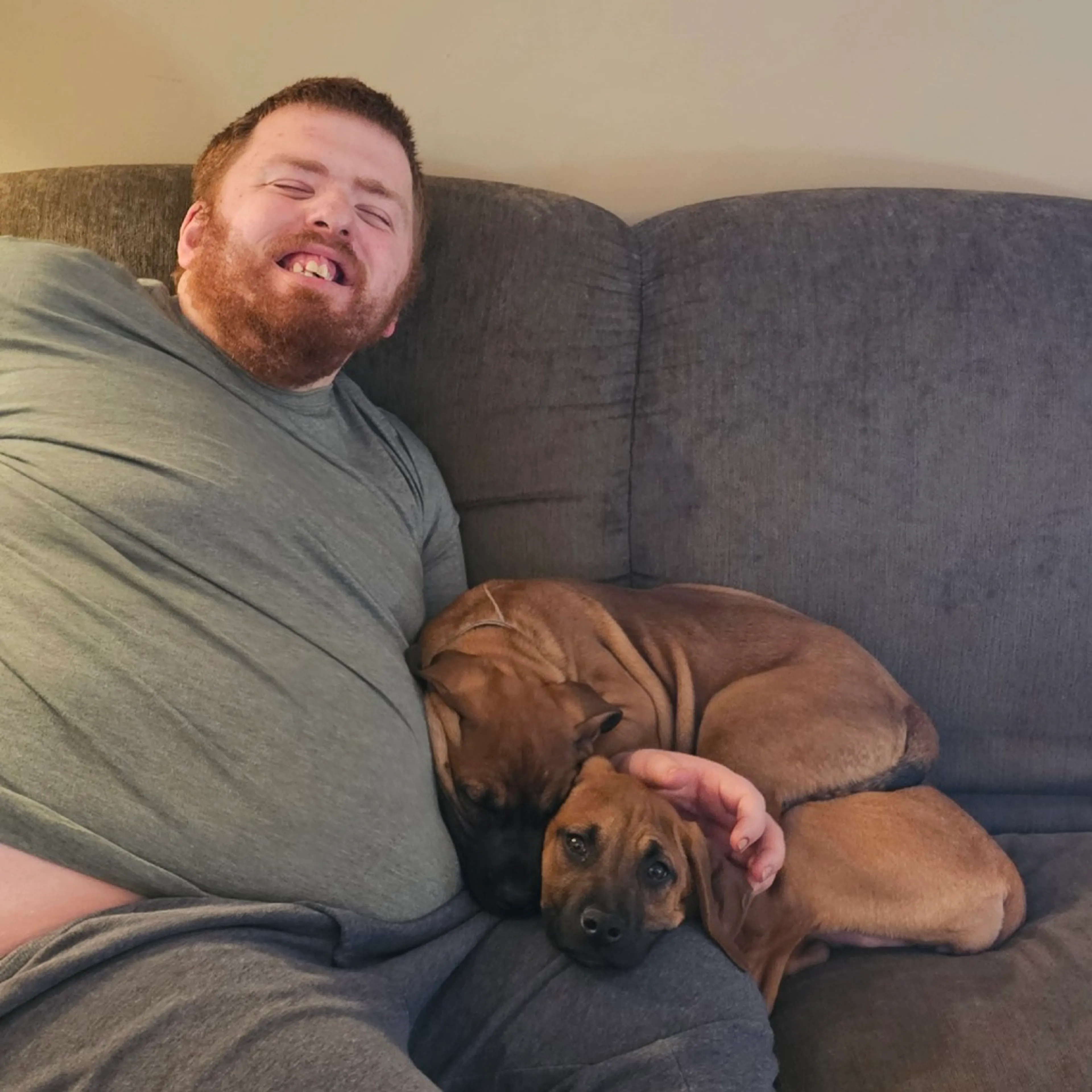 Found pet-9