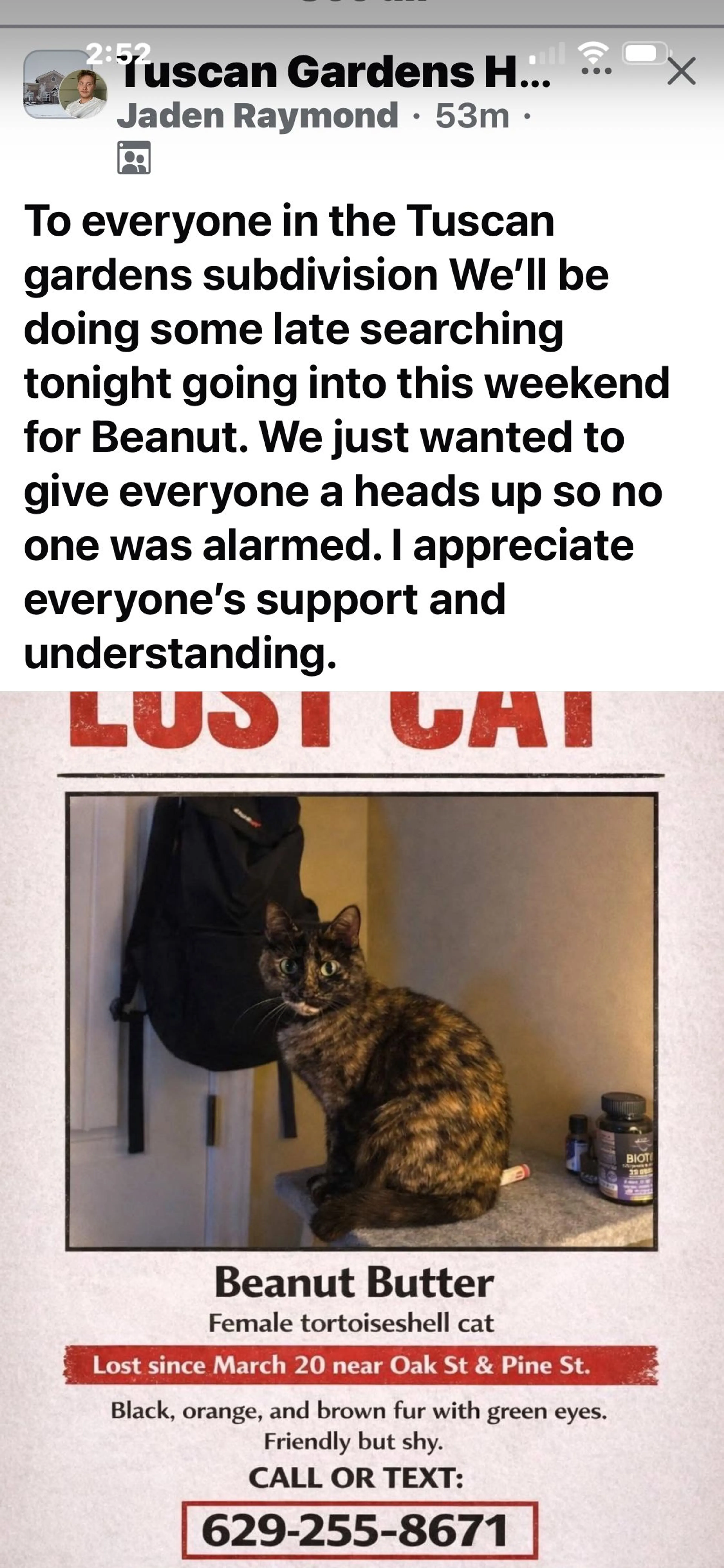 Lost pet