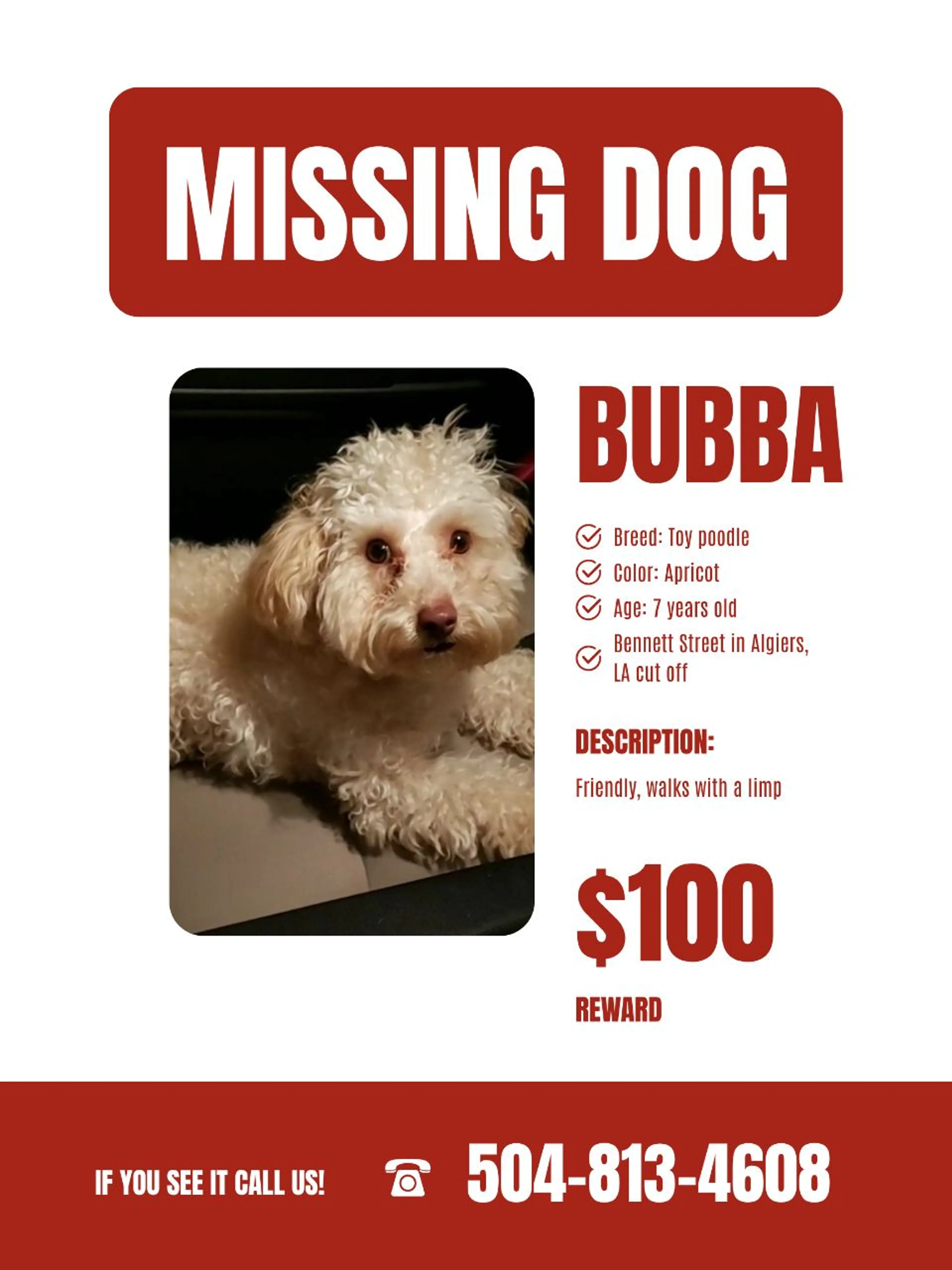 Lost pet