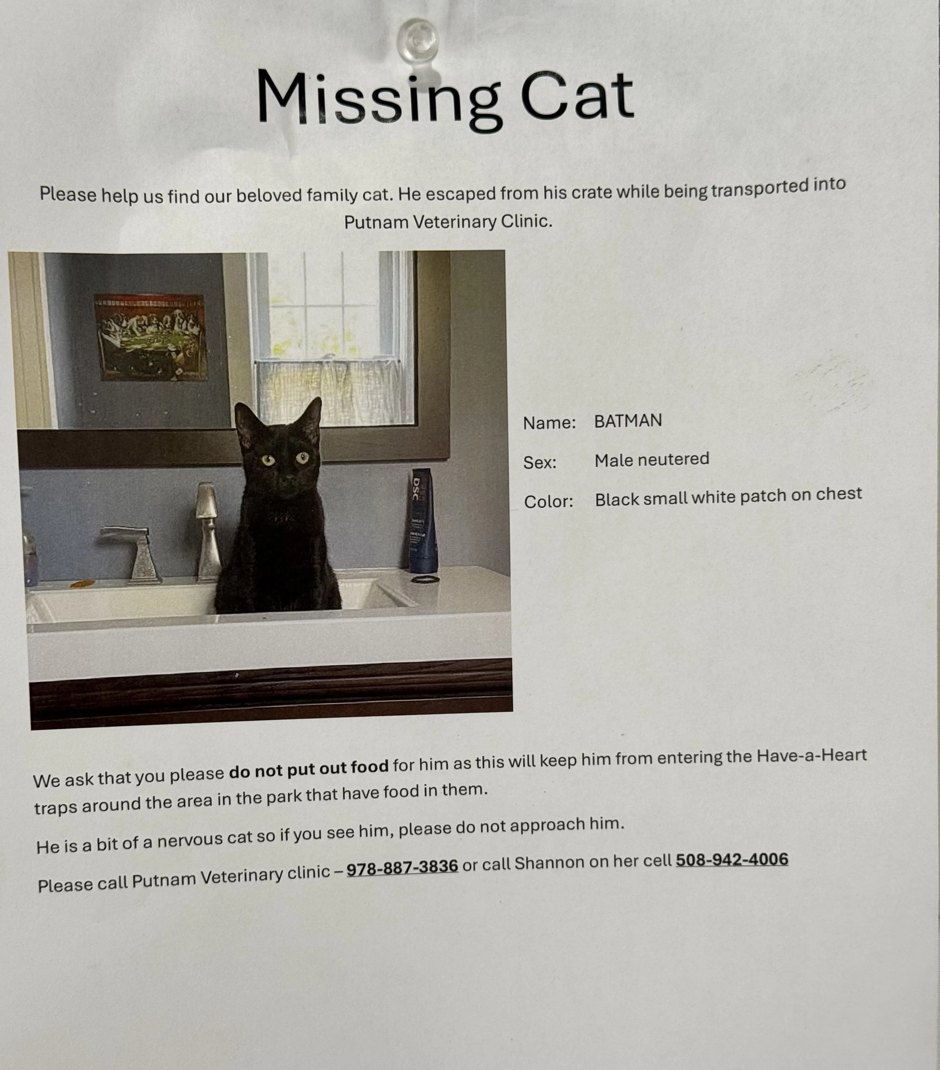 Lost pet