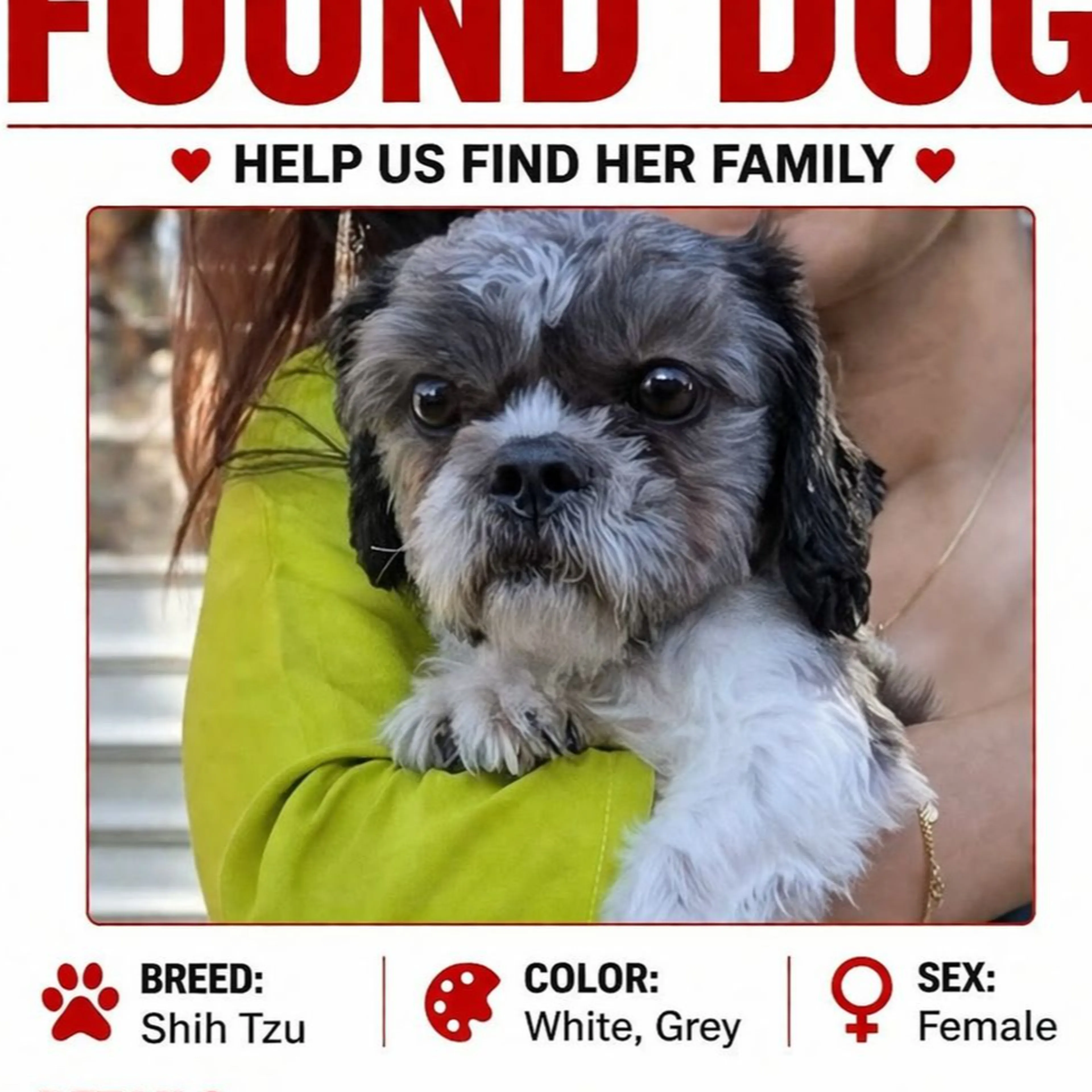 Found pet-2